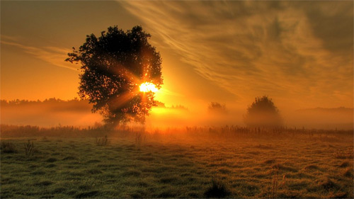 33-fog-sunrise-wallpaper.jpg