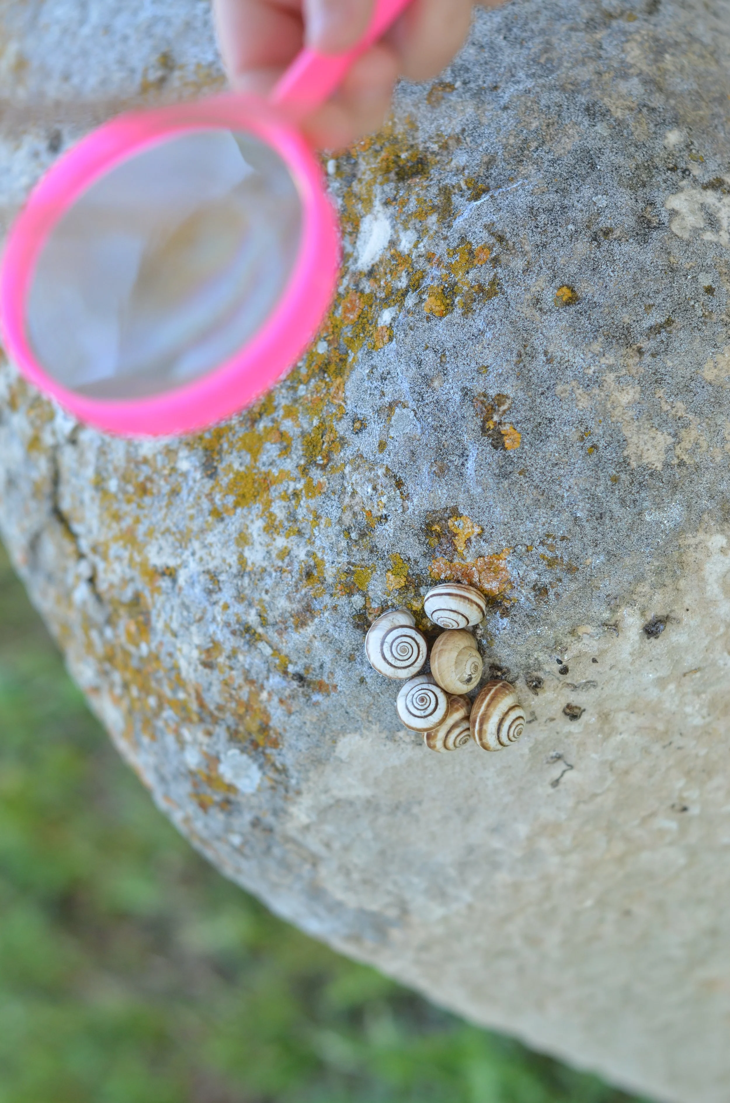 Campus InQuiet - Setmana Santa: IGUALADA