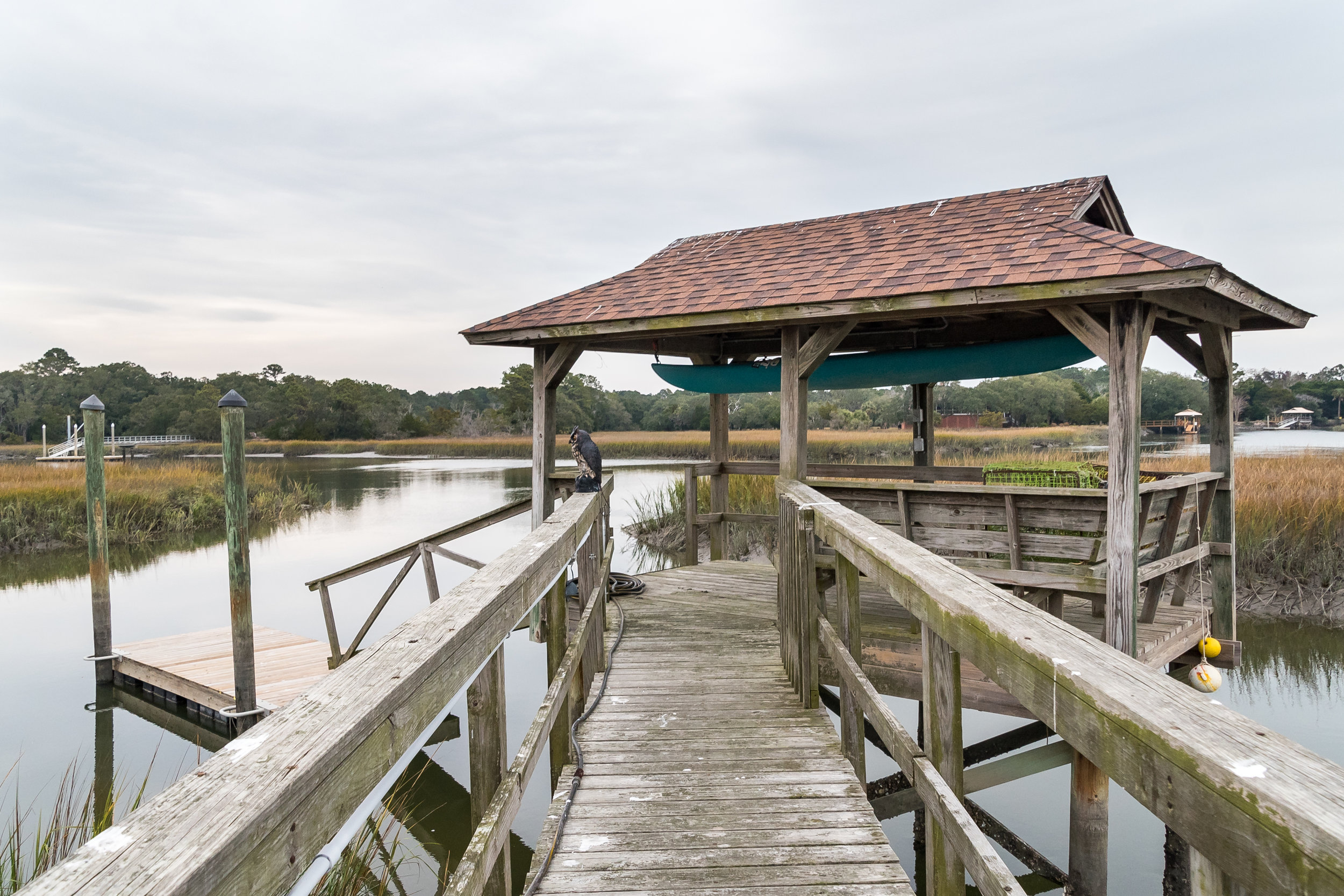 753-palmetto-pointe-lane-print-005-5-dkl-1796-3936x2624-300dpi.jpg