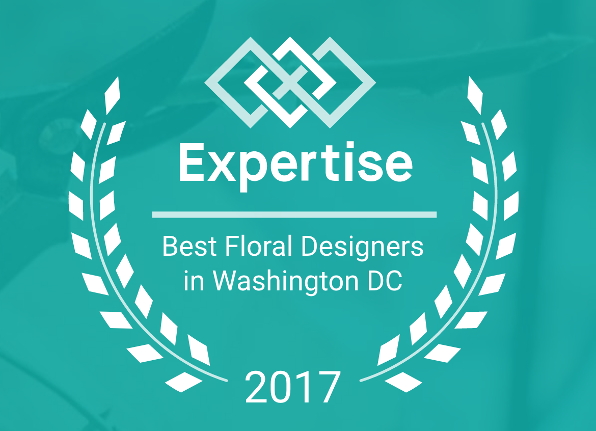 Expertise Best floral designers in Washington DC