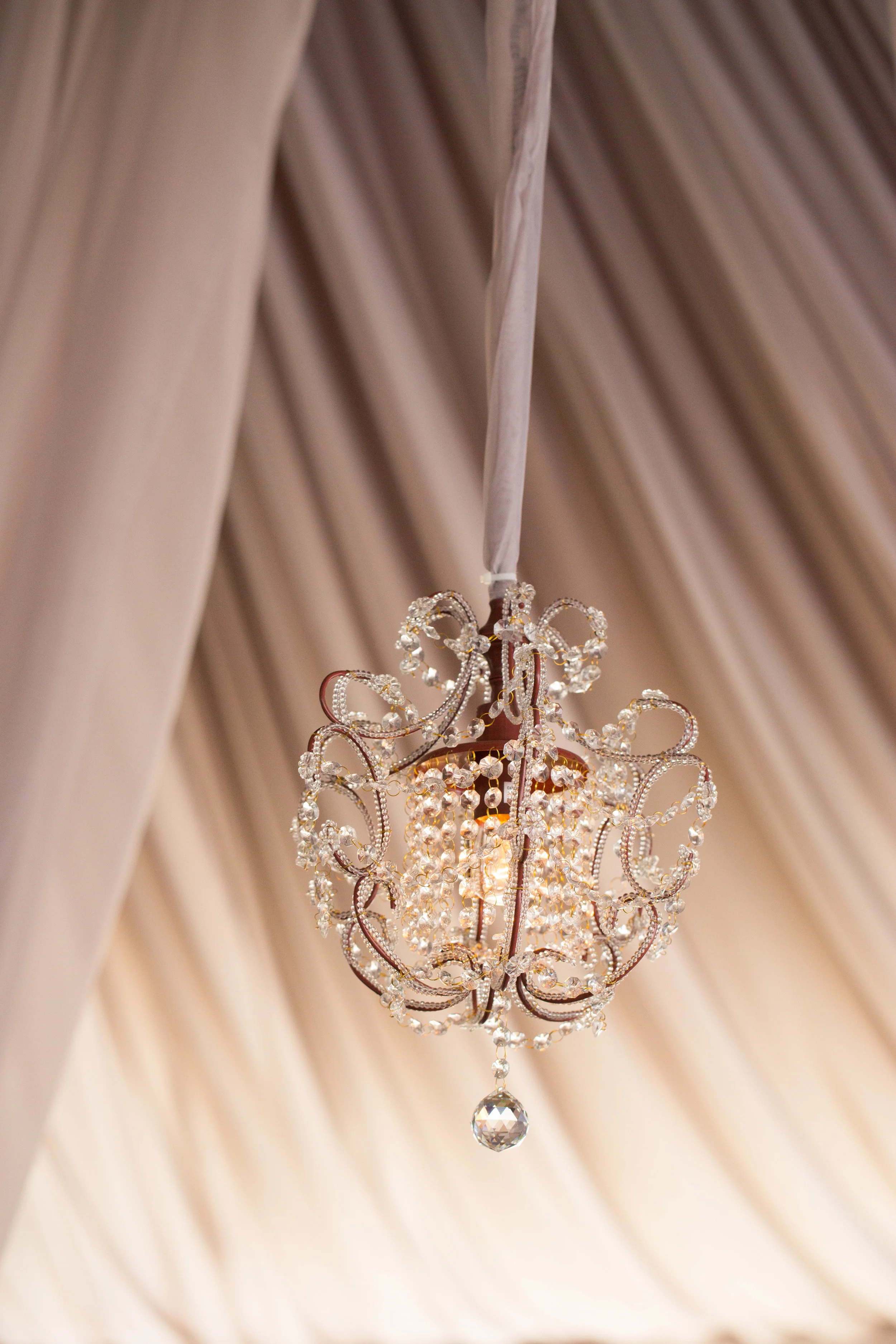 WebbertWedding2013-323.jpg
