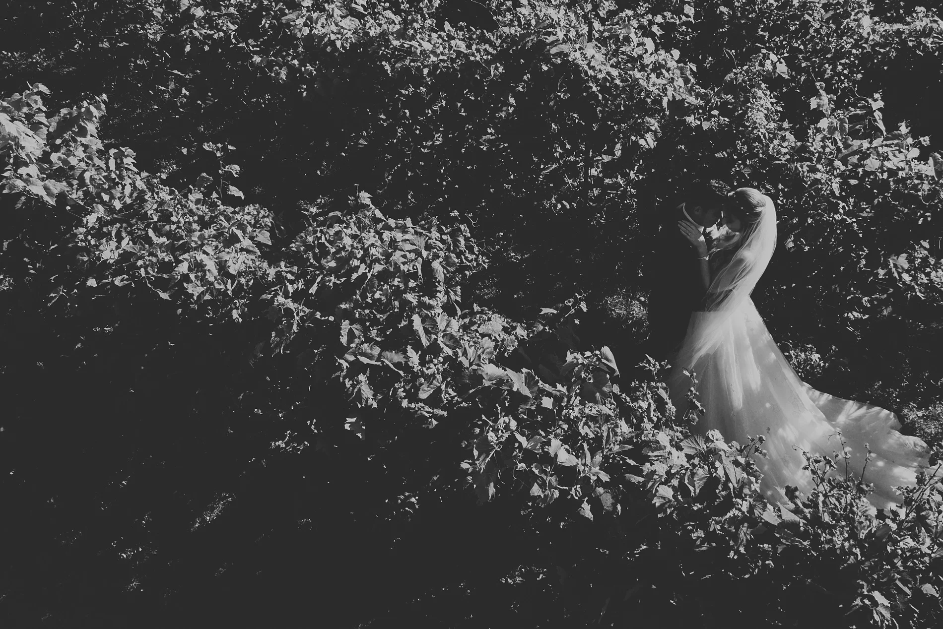HockleyValleyOrangevilleWeddingCanada_0126.jpg
