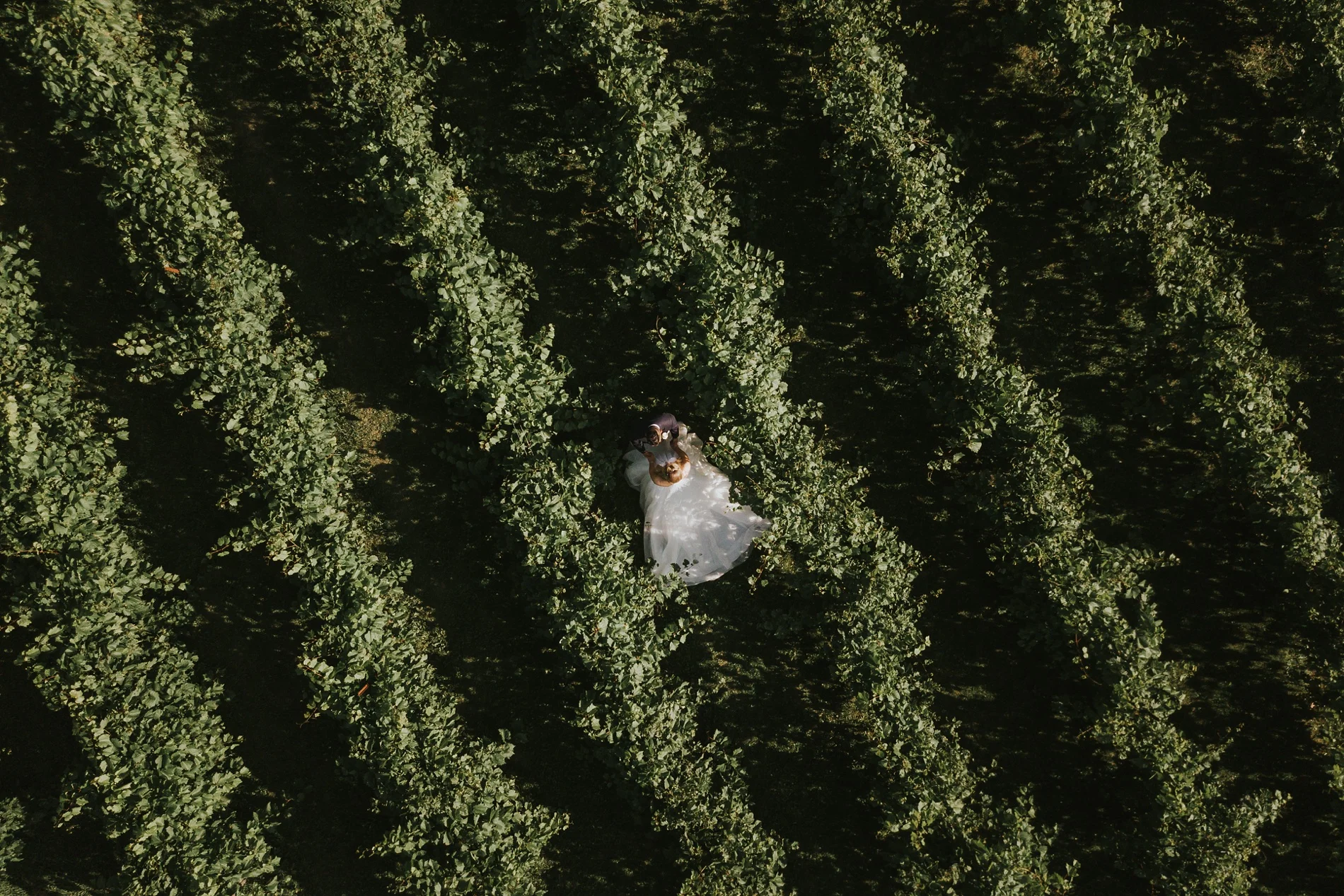 HockleyValleyOrangevilleWeddingCanada_0127.jpg
