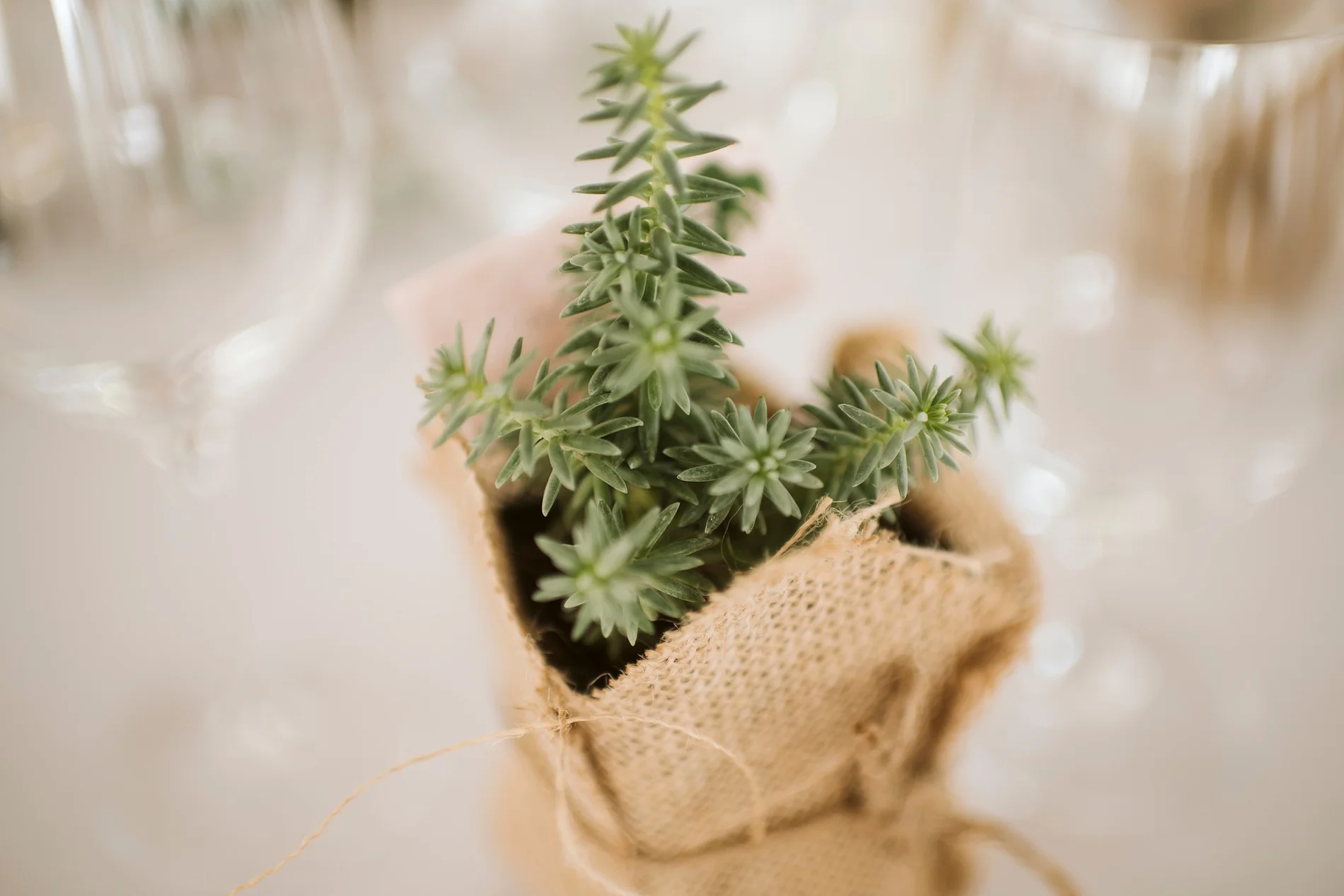 Best_Toronto_Wedding_Photographer_Niagara_Chateaux_des_Charmes_0070.jpg