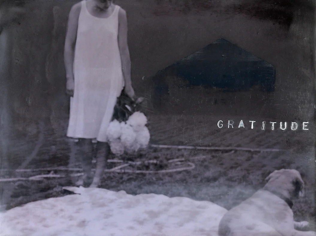 Gratitude