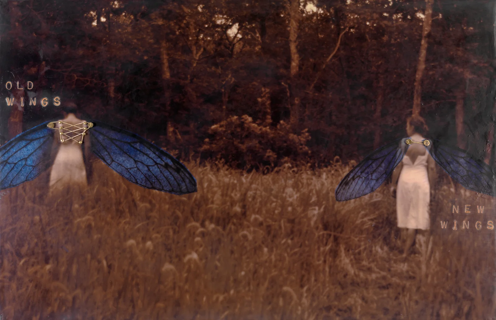 Old Wings, New Wings