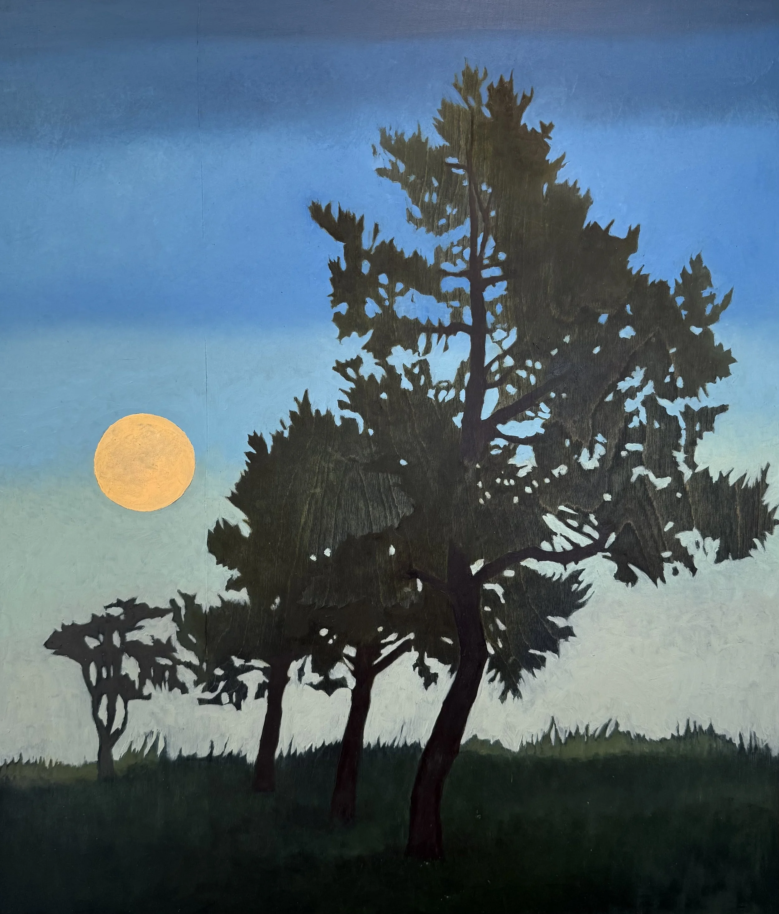 Cedars at Nashaquitsa