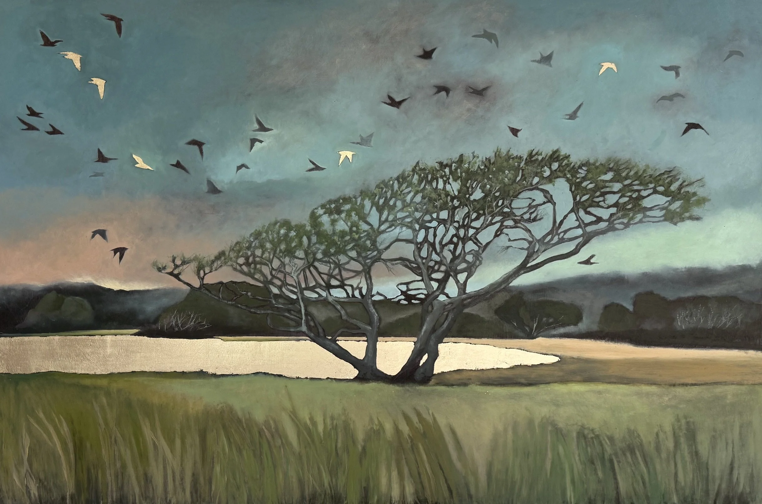 Quansoo Oak