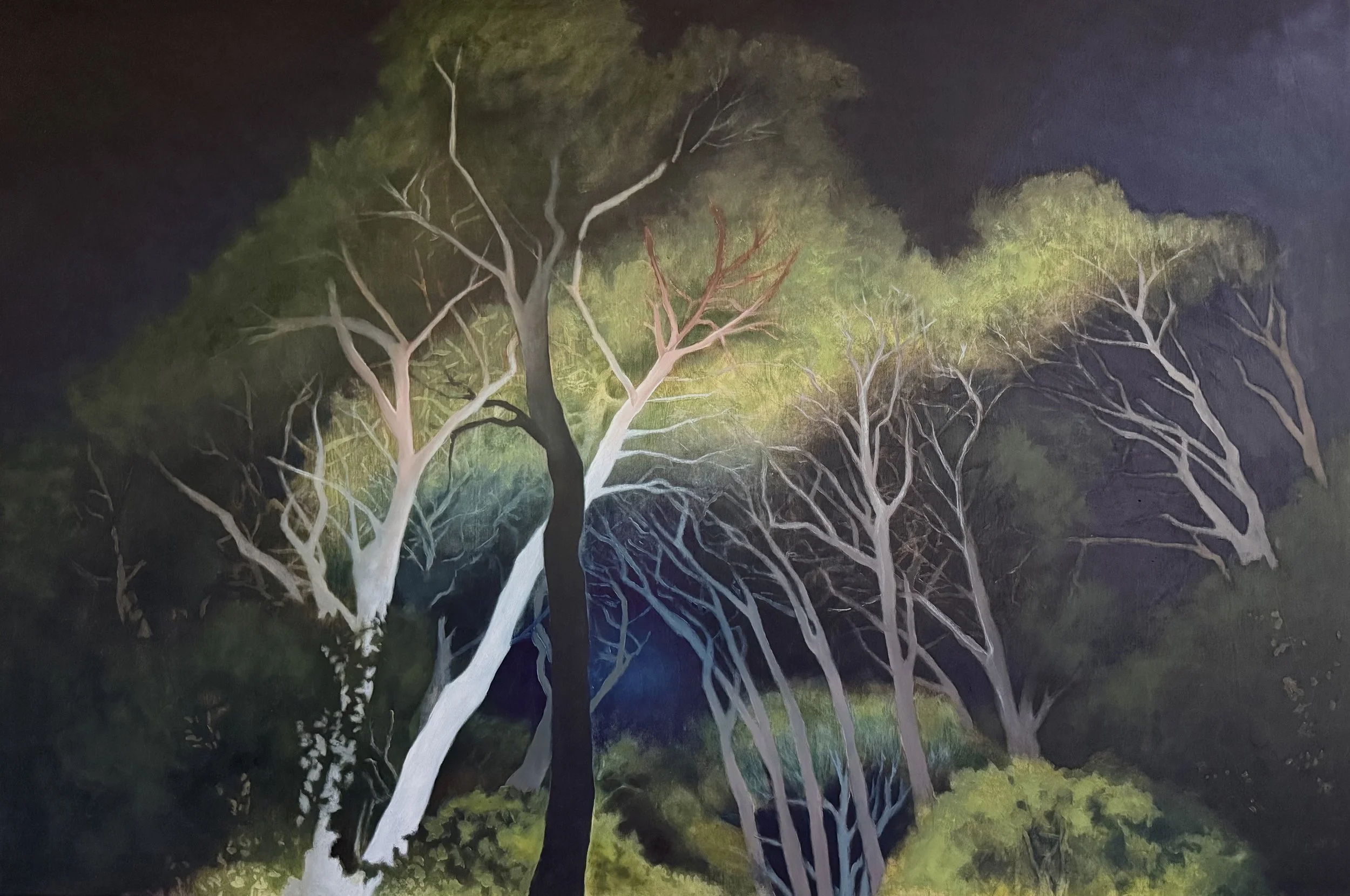 Light in the Valley Below