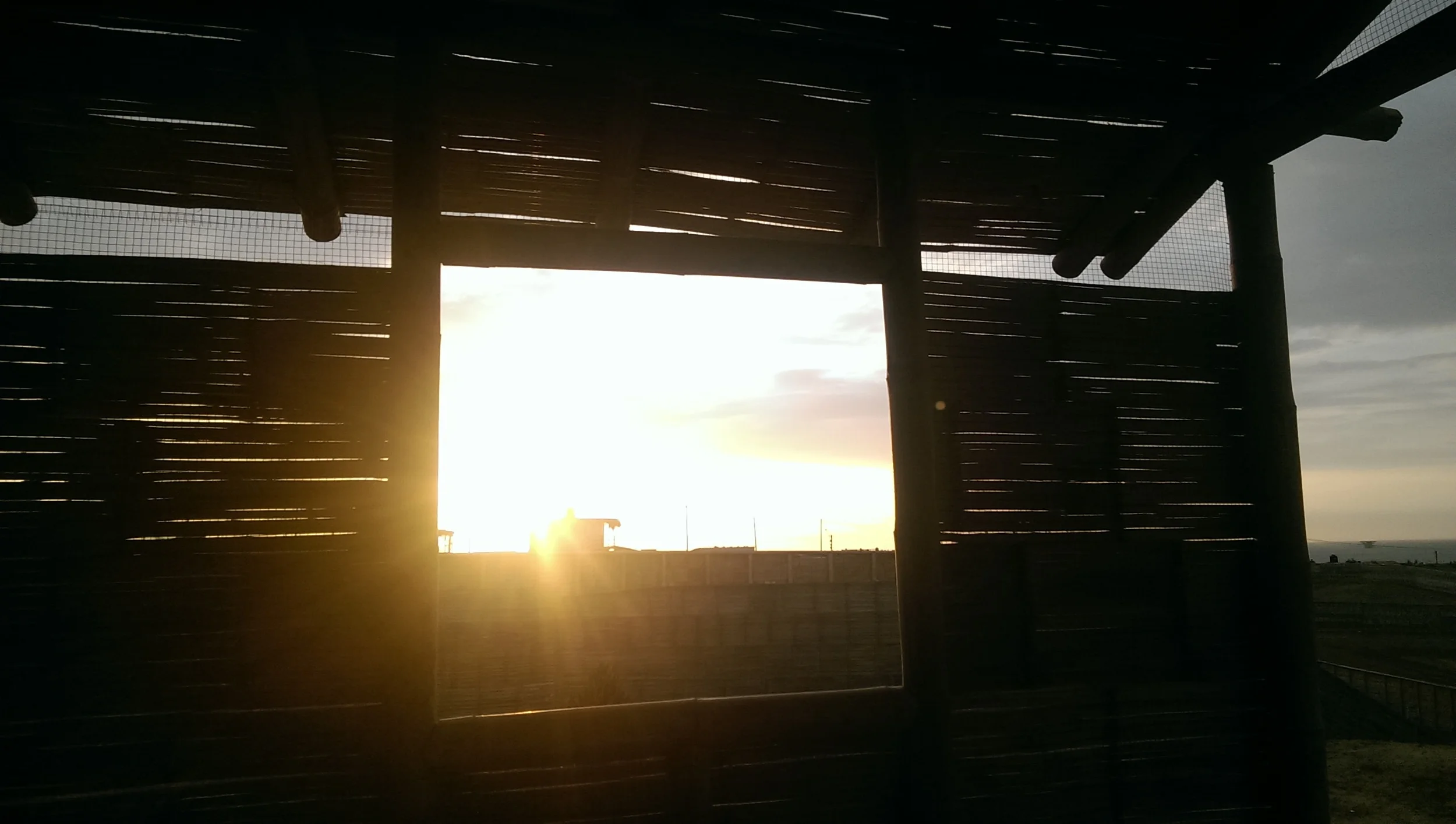 imag0517.jpg