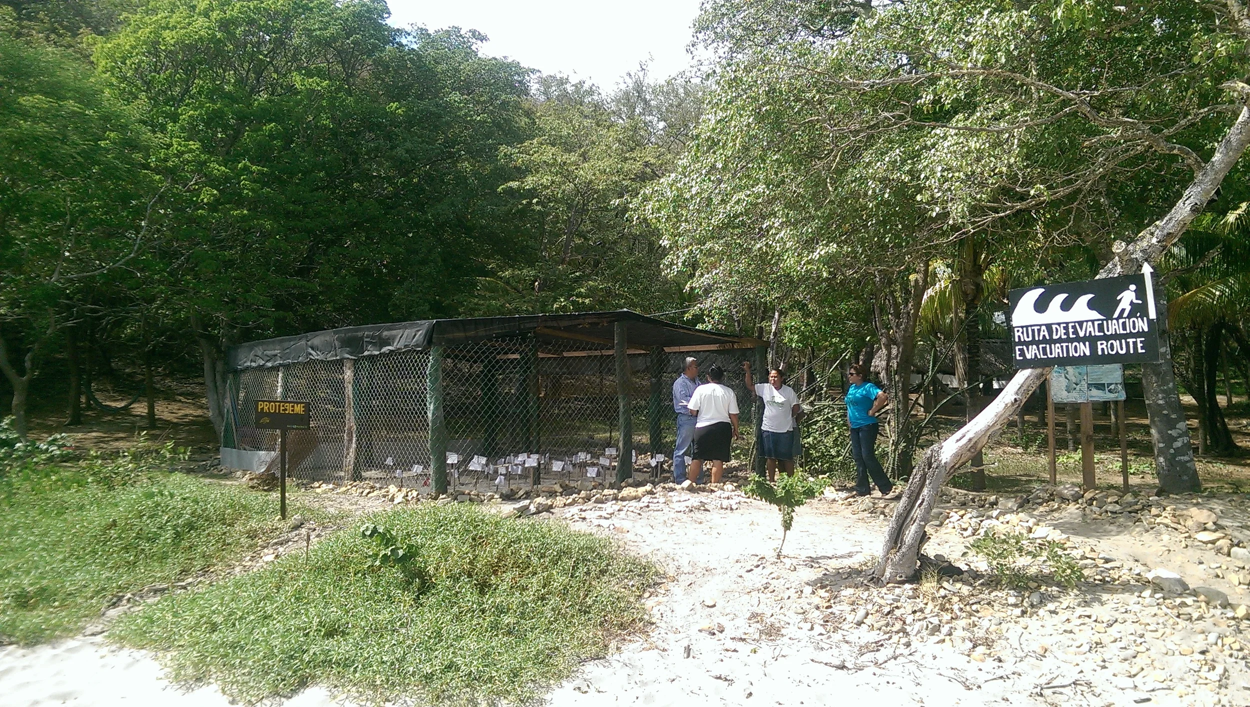 Conservation in the South