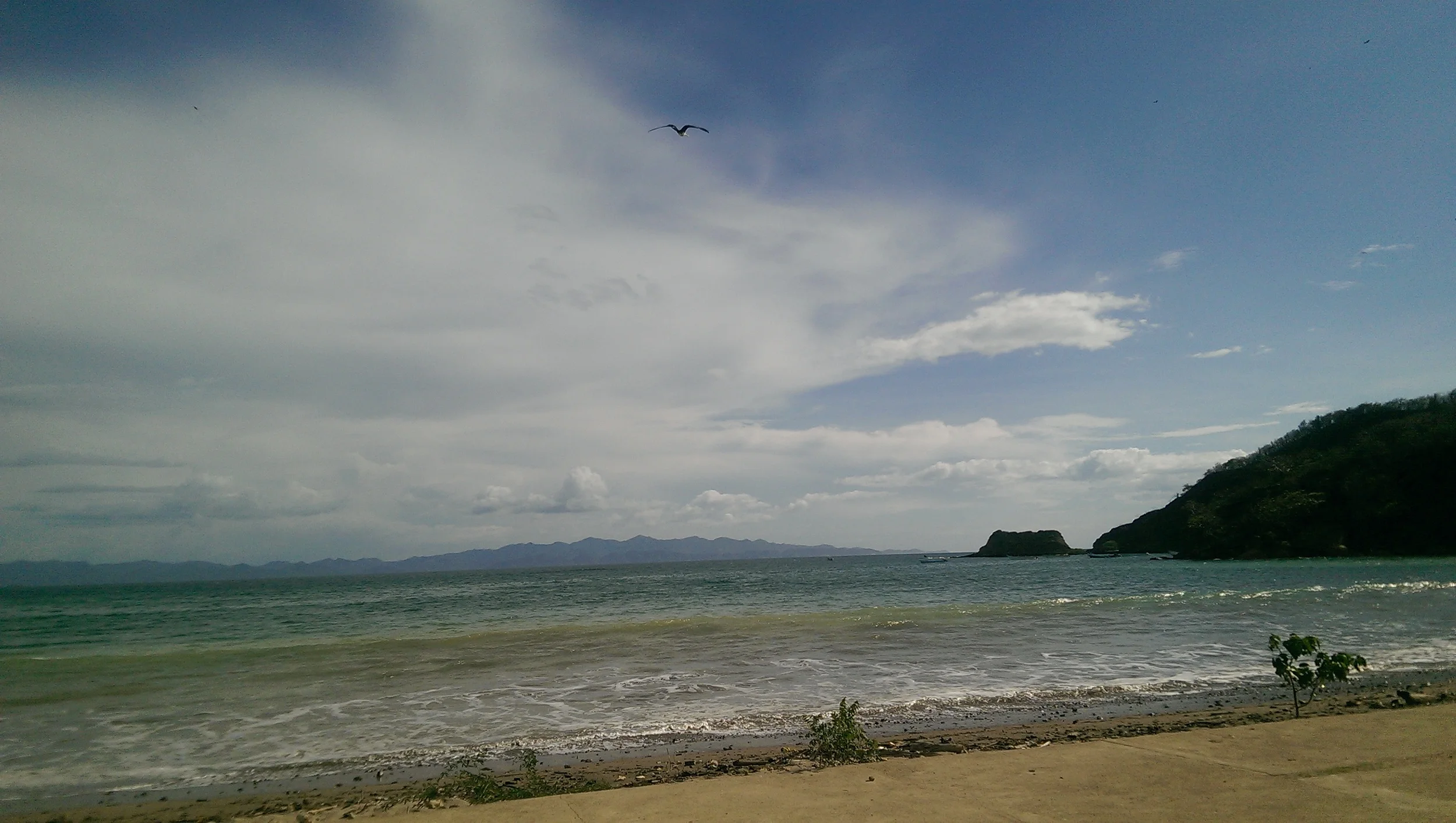 IMAG0766.jpg