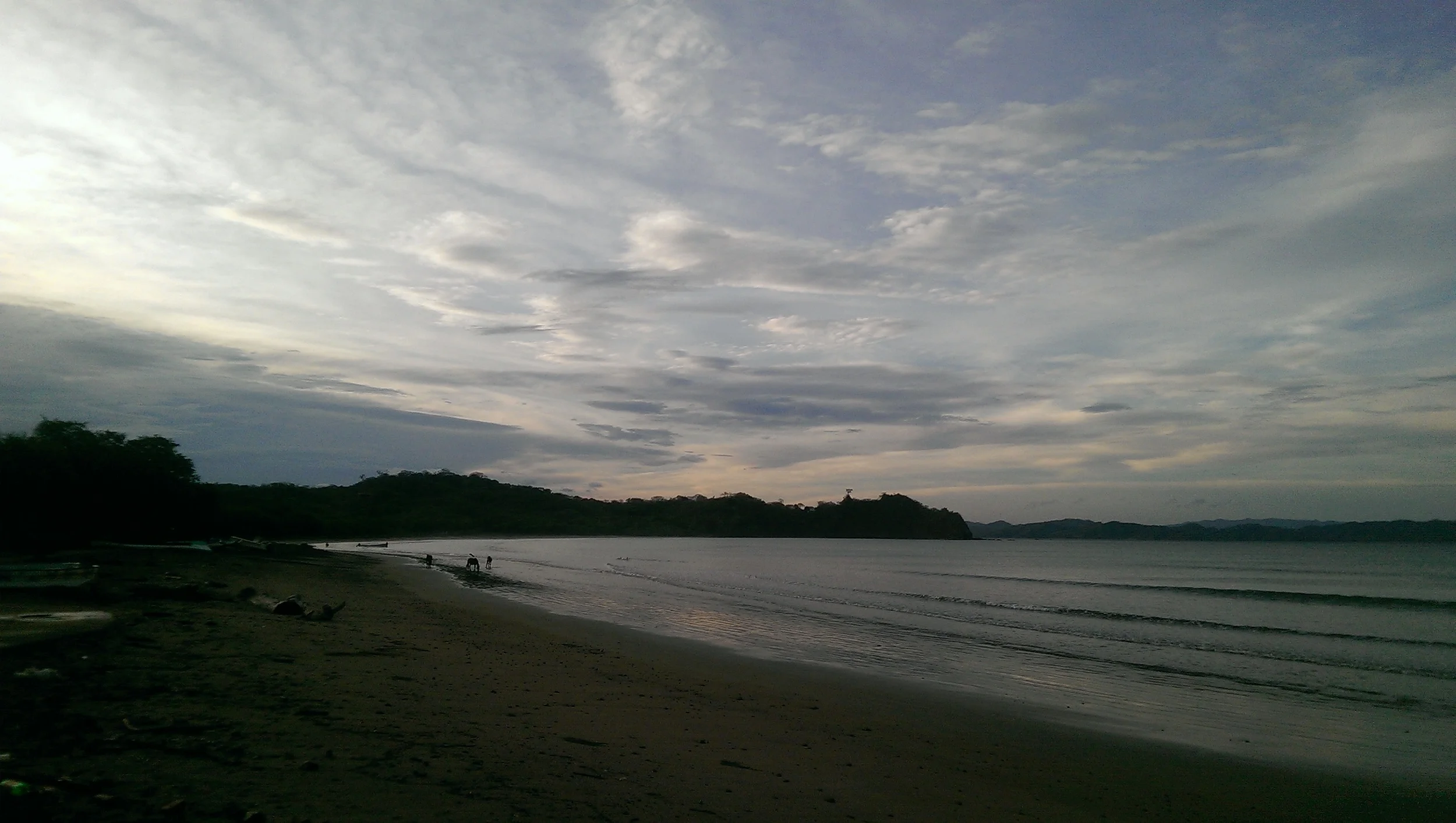 IMAG0771.jpg