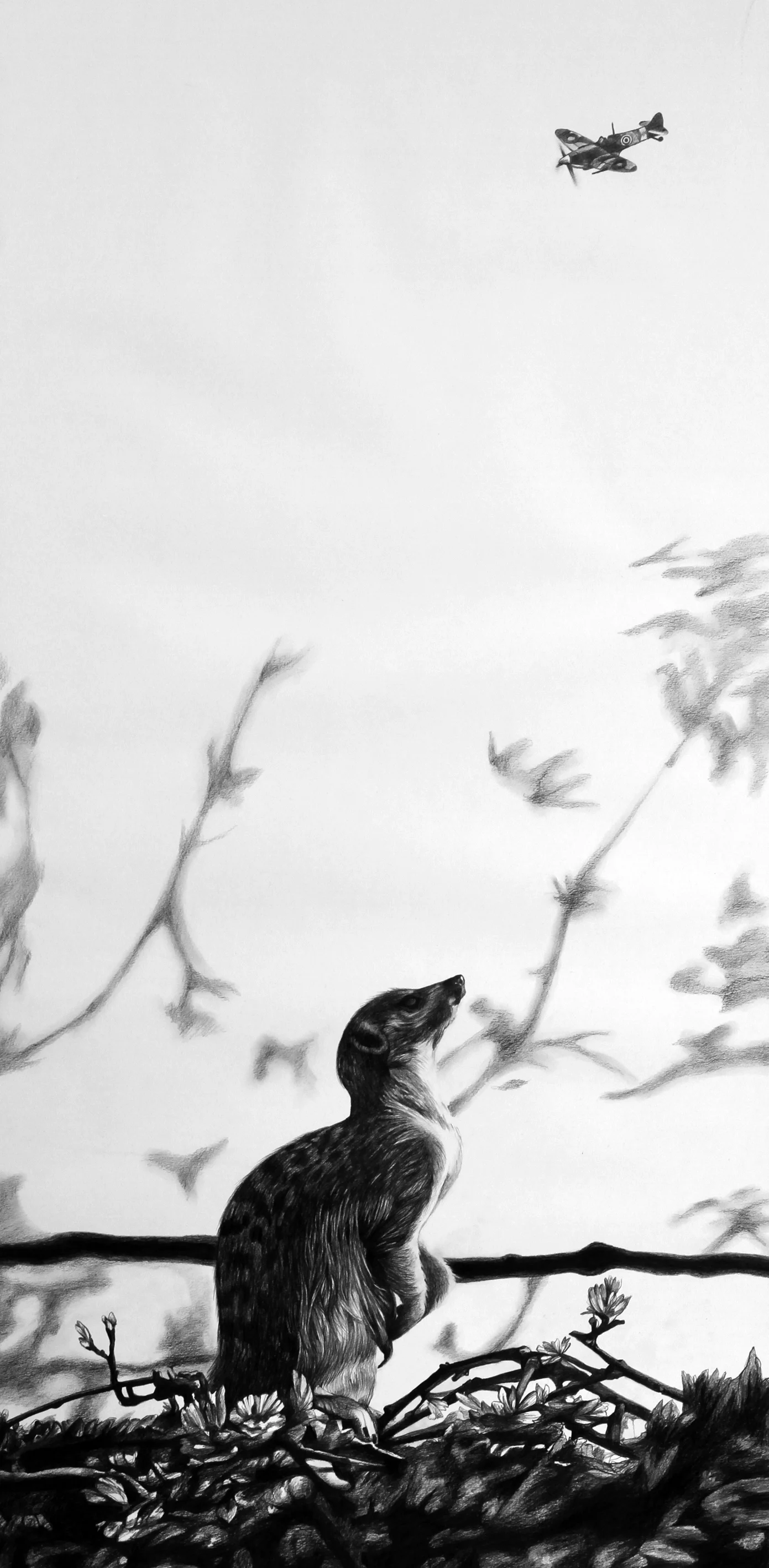 Im into you or onto you , 2011 Blyerts 100x50cm