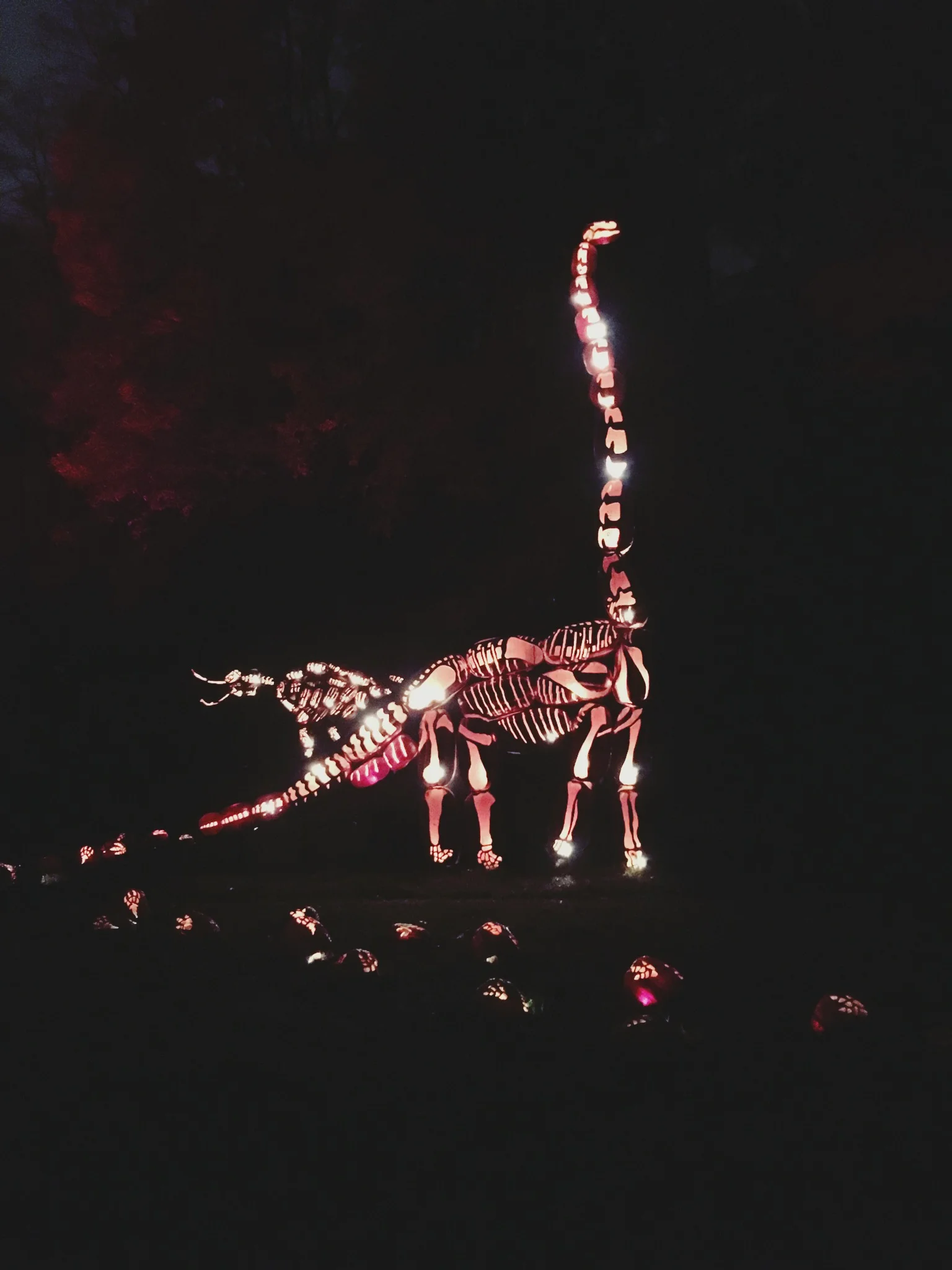 Pumpkin-o-saurus 