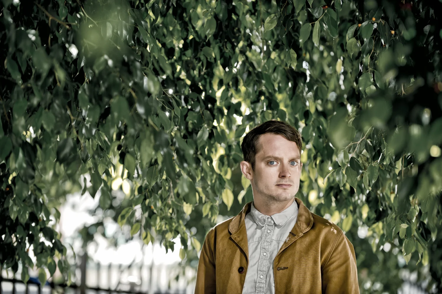 Elijah Wood - Actor