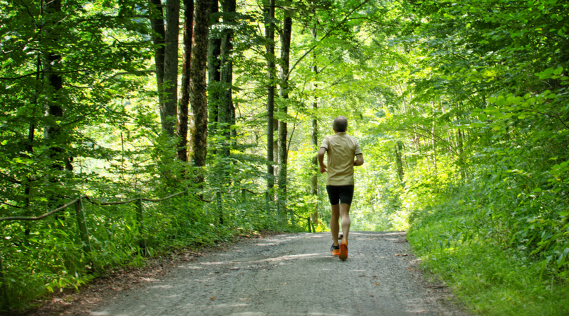 Active lifestyle banner.png