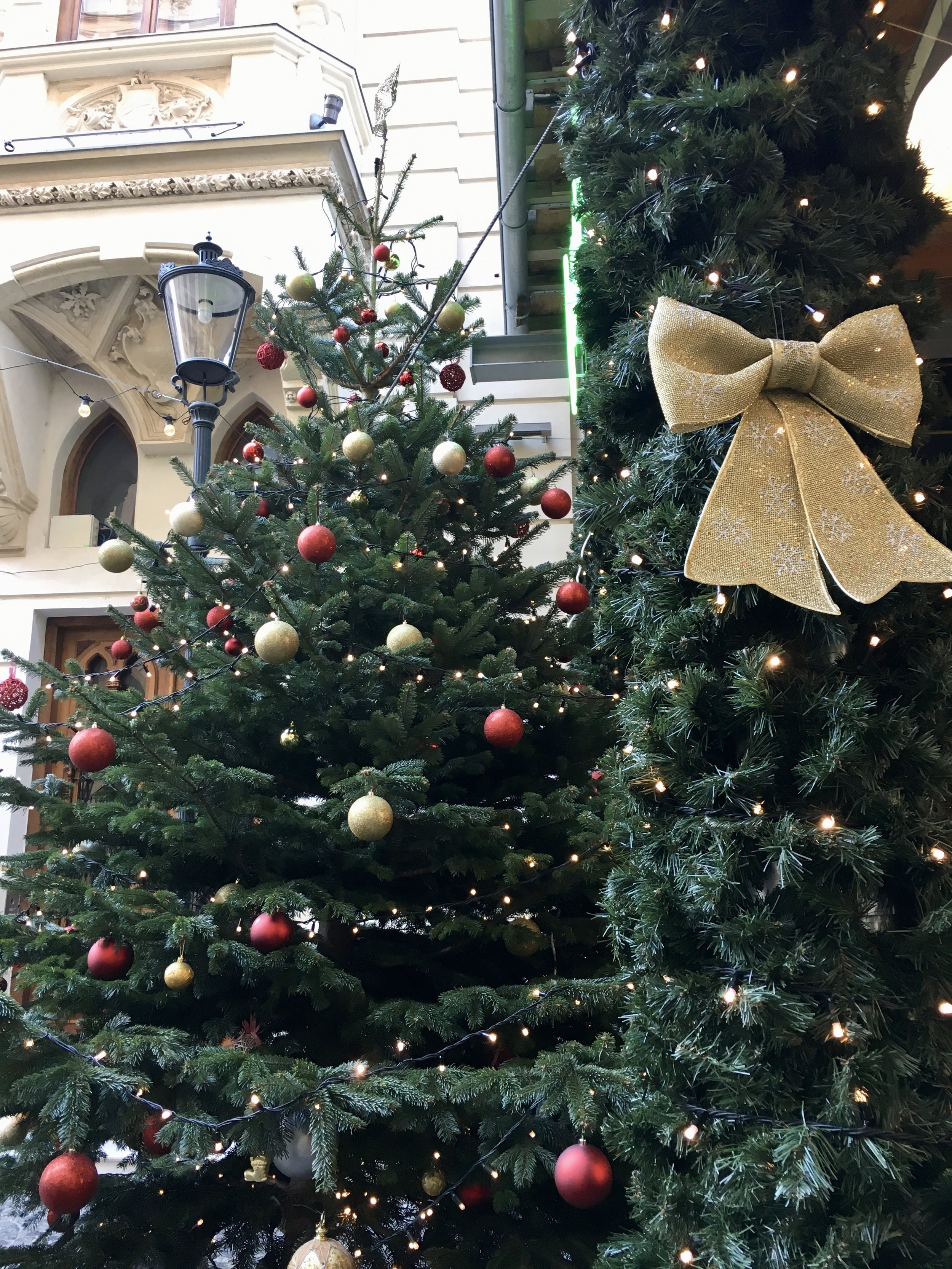 Feeling Festive