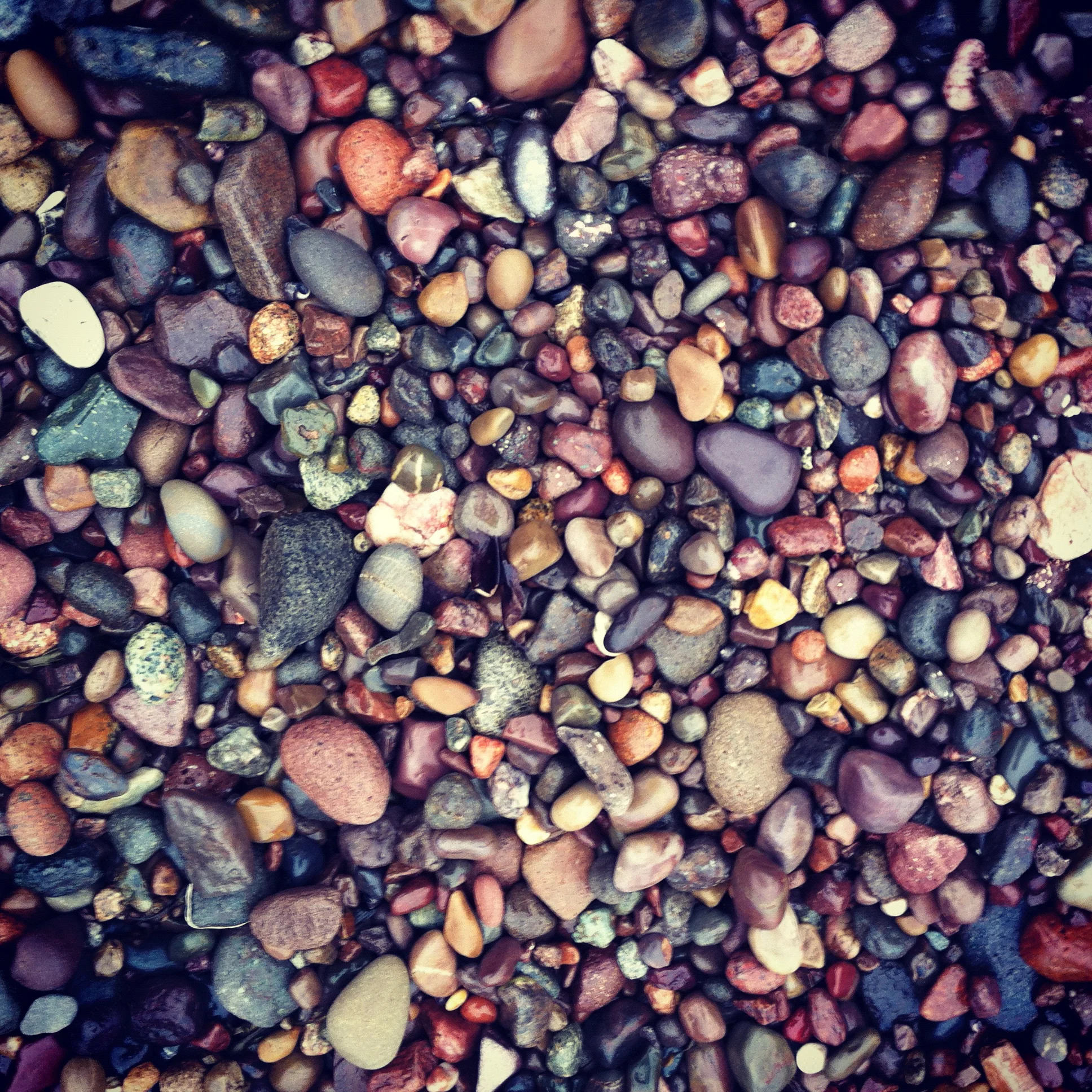 Rocks on our beach. 
