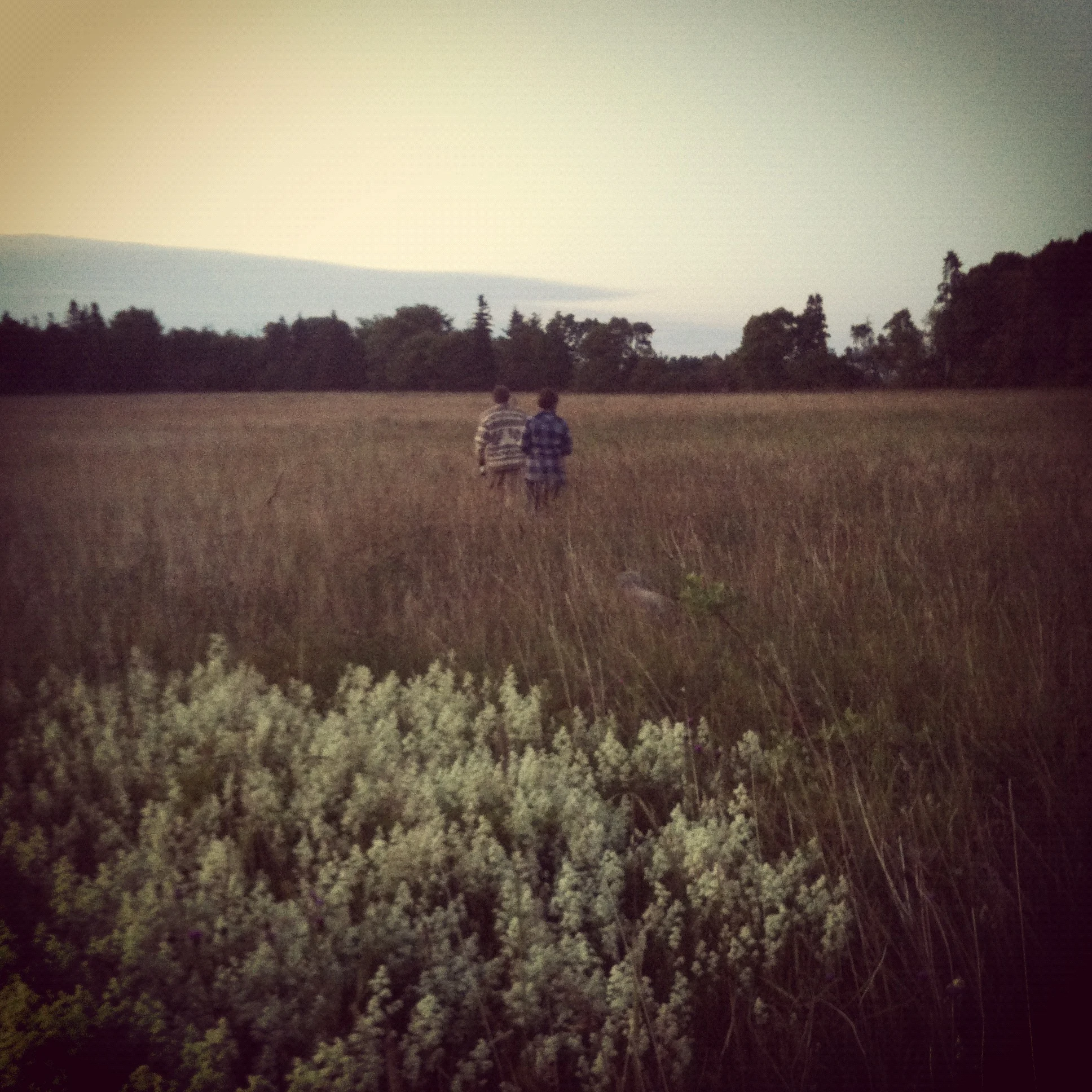 Warm summer's night walk across the pasture with clouds hanging over the Bay of Fundy. 