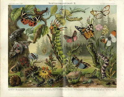 illustrator uncredited, Schutzeinrichtungen II , in Meyer's Lexicon , 1894.
