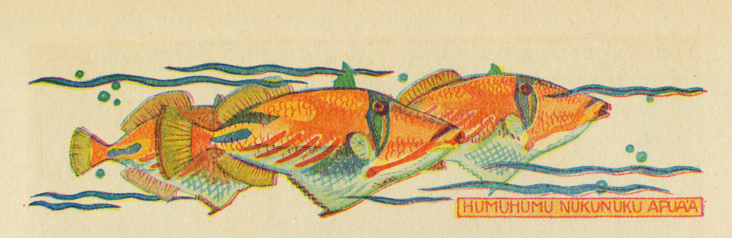 Lucille W. Holling, Detail from Kimo: The Whistling Boy . 
