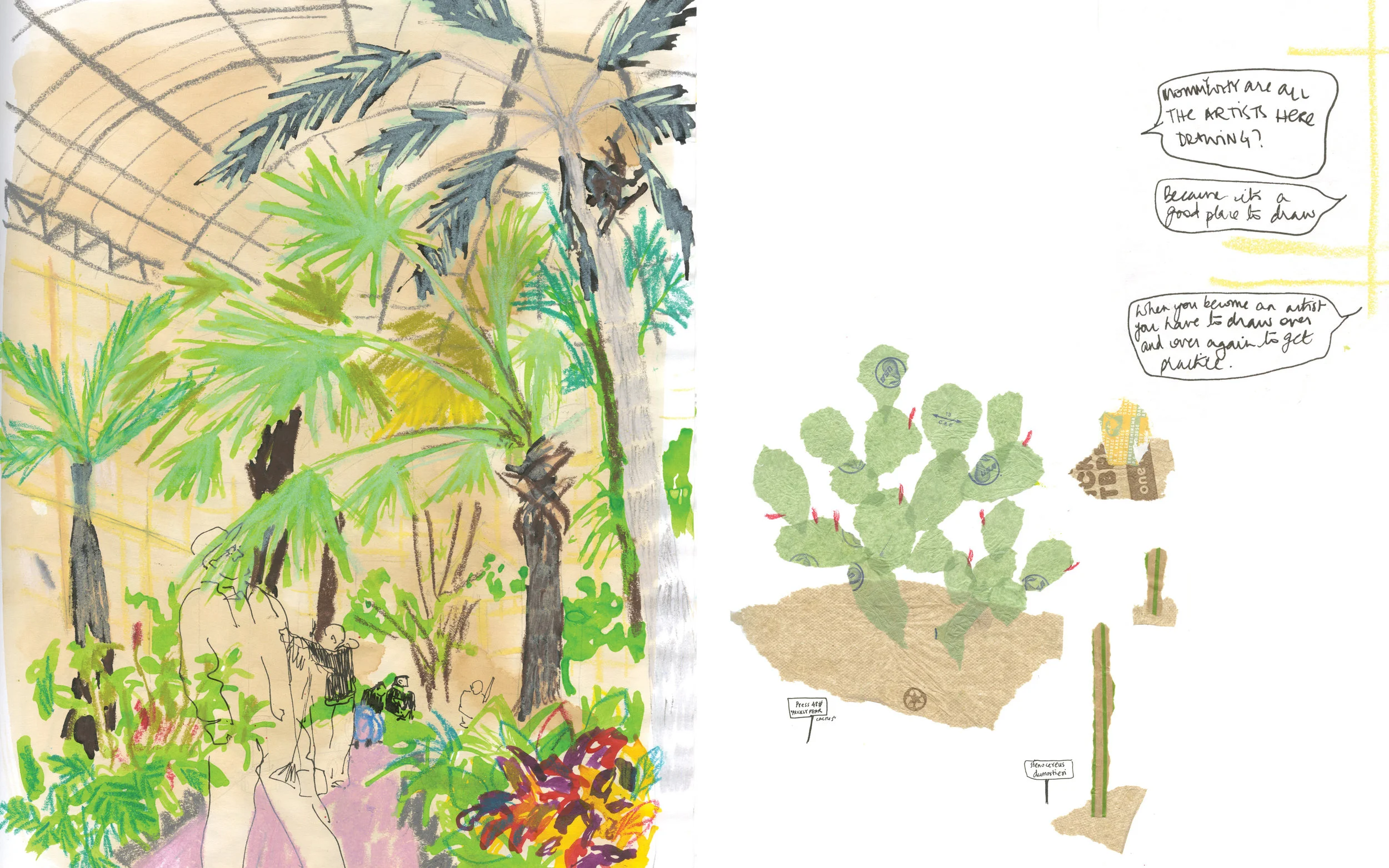 Shreyas R Krishnan, Rawlings Conservatory, from Charm City, 2015 . 