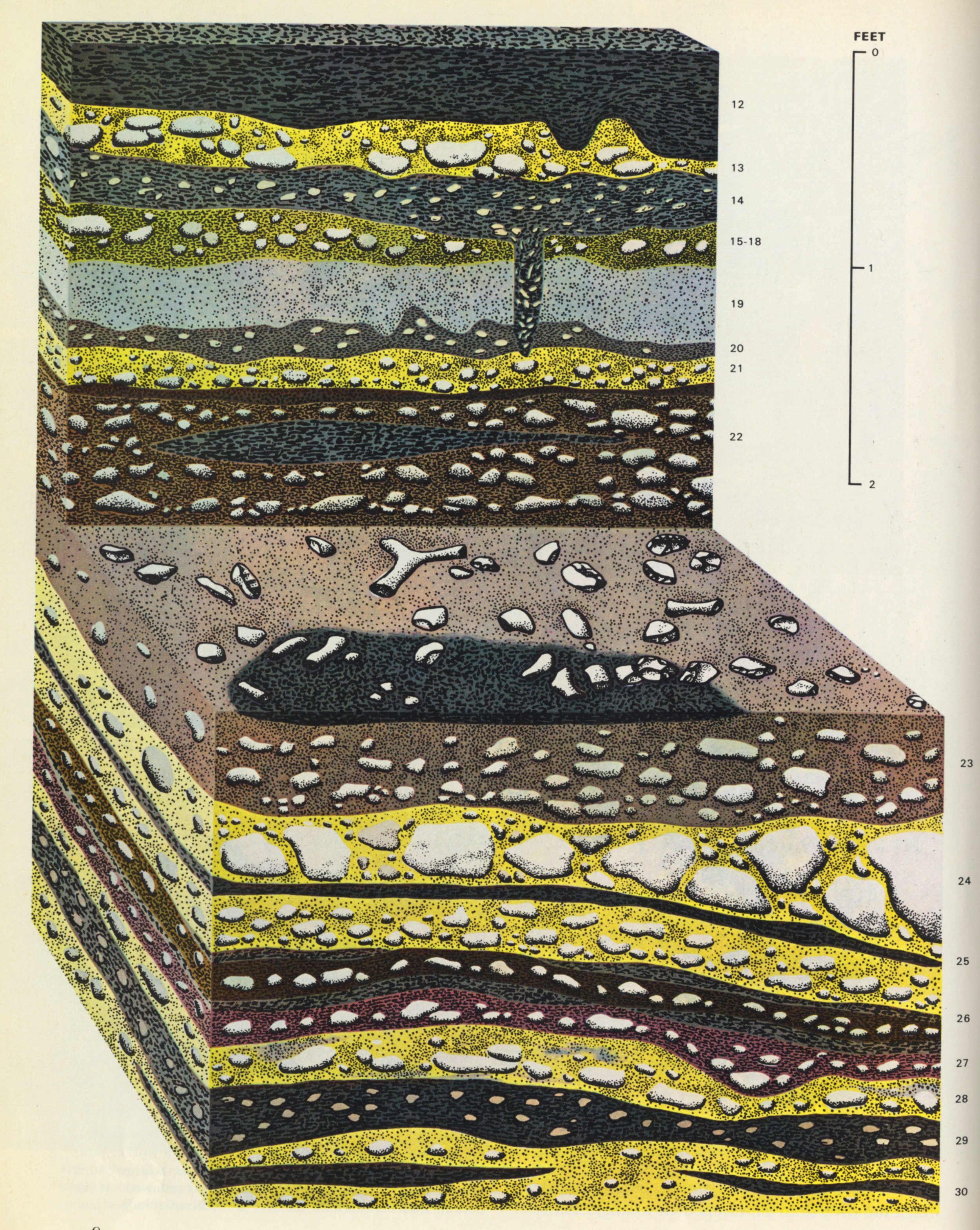 Illustration of archaeological dig , Dordogne, France in Early Man , Time-Life Books, 1965. Art direction by Sheldon Cotler; illustrator uncredited. (1 of 2) Note that we see the excavated matter from three sides, to provide spatial context and scale reference for the schematic representations of several layers called out in diagrams—one of which is shown below.