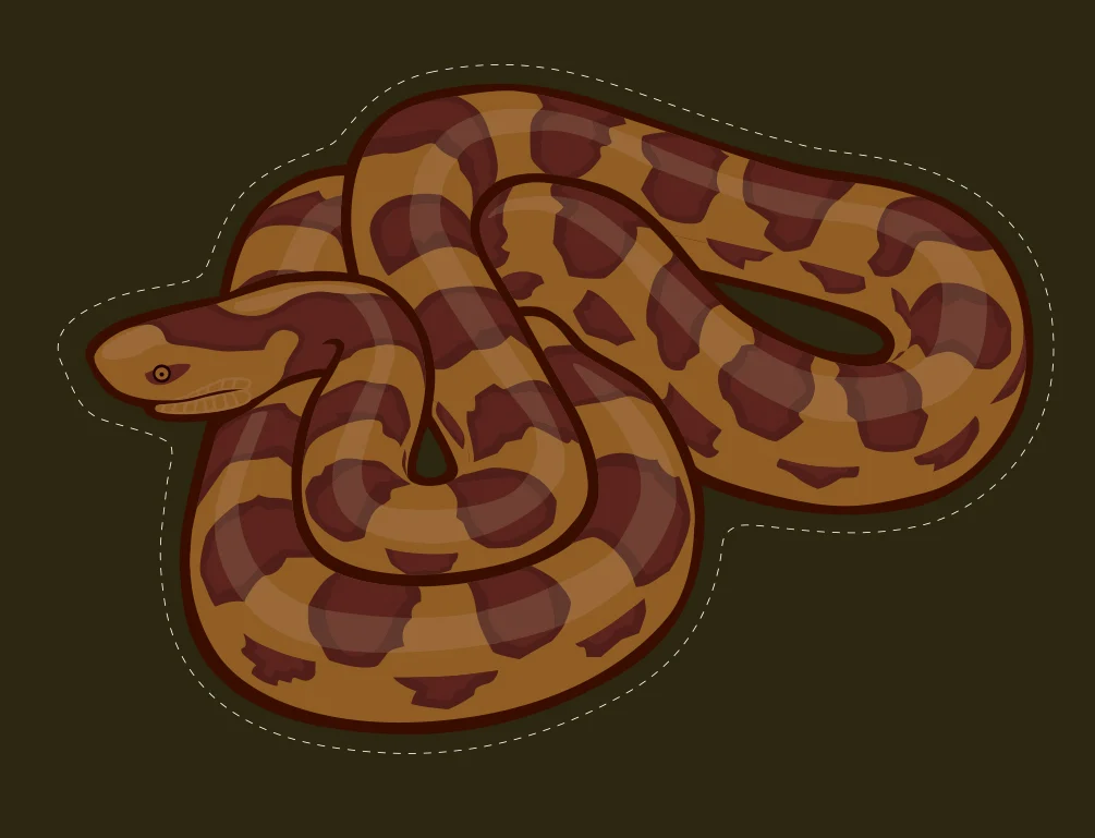 kingsnake_vector.jpg