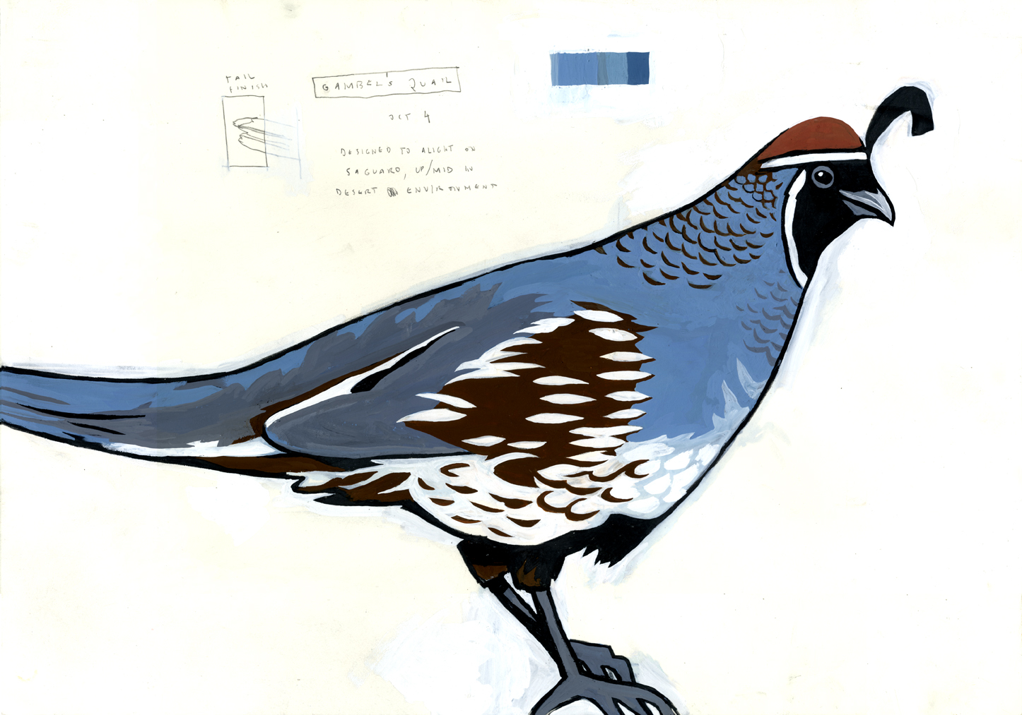 MySci_quail_painting.jpg