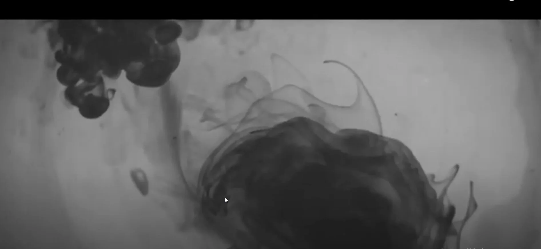 POTATOMIKE Original Photography Art For Sale POTATOMIKE