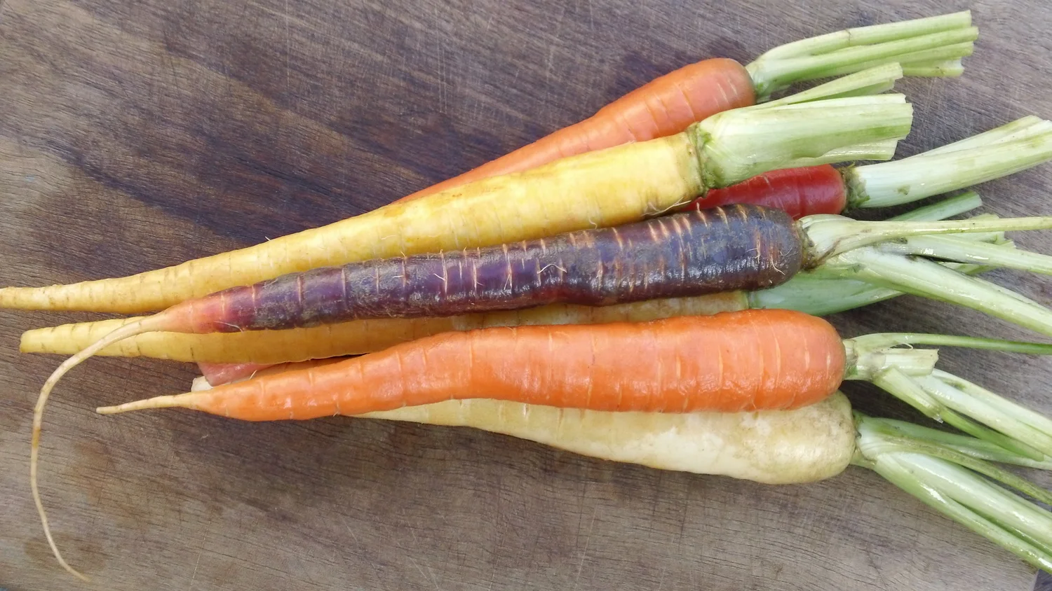 carrots eat together page.jpg