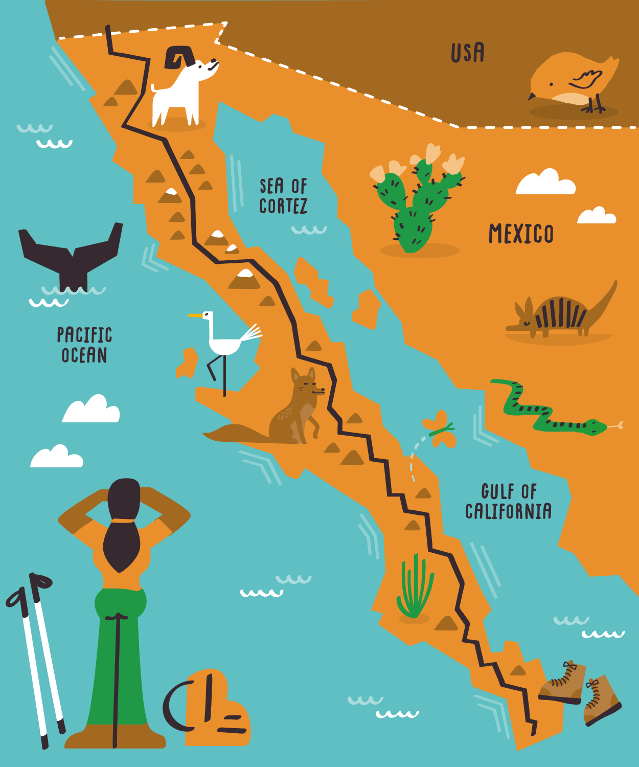  Illustrated map of Baja California by Nate Padavick 