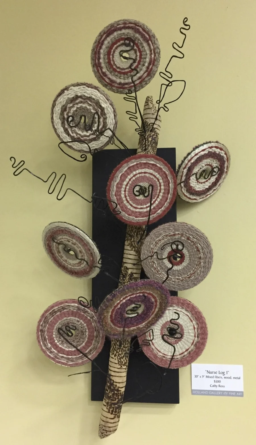 Nurse Log 1 - example of mixed + fiber