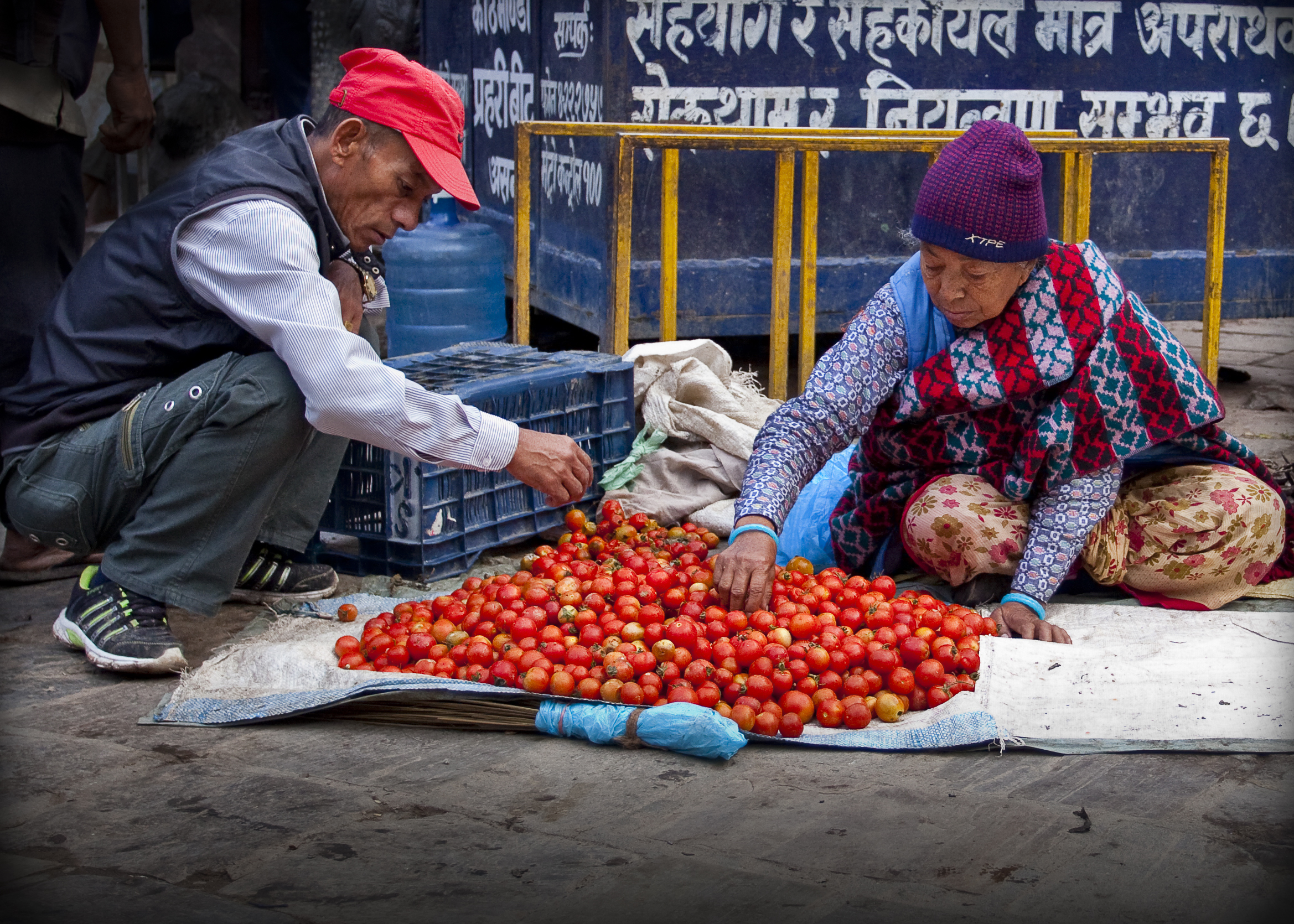 market_tomatoes5x7 (1 of 1).jpg