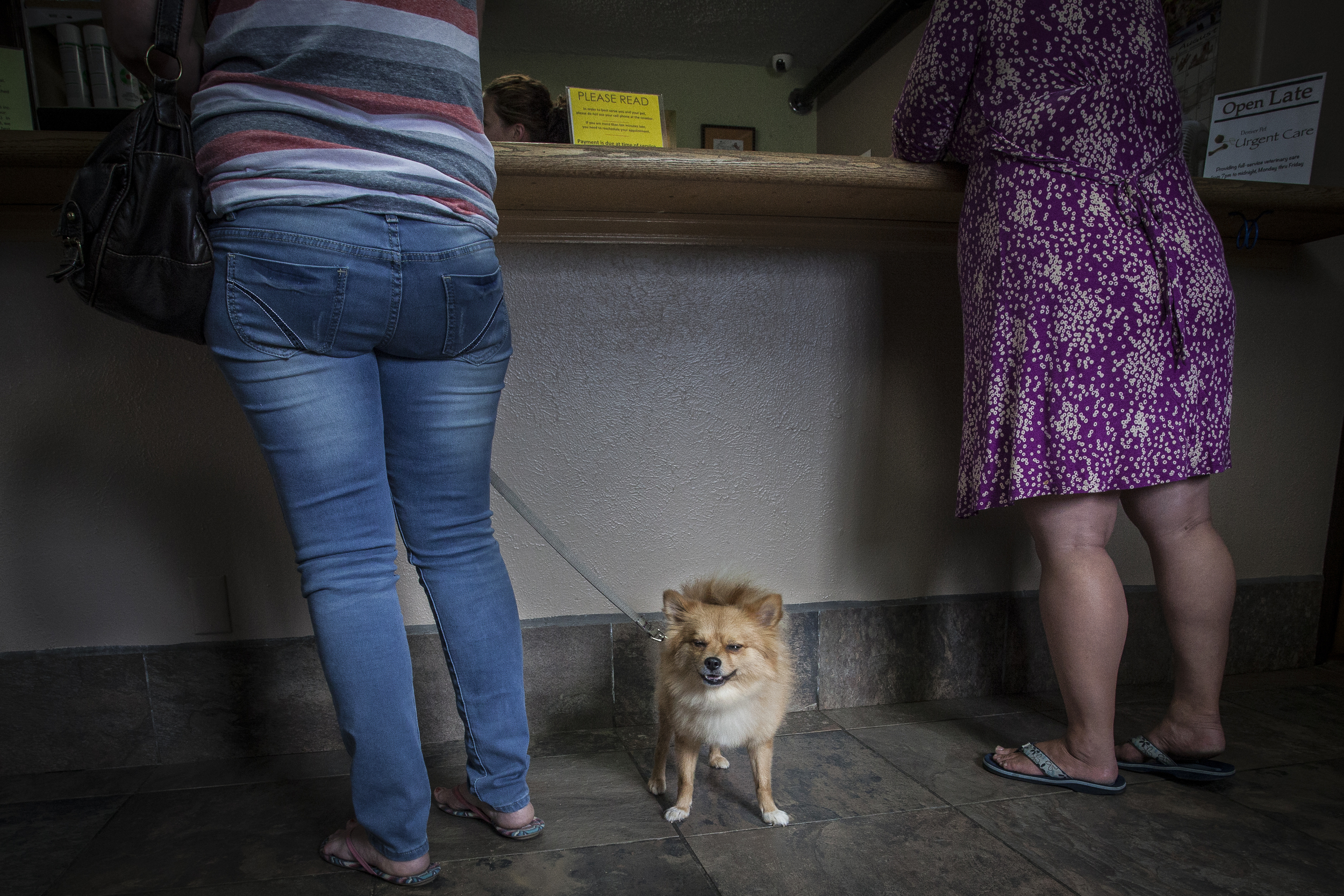 waiting room dog and ladies 4x6-1.jpg