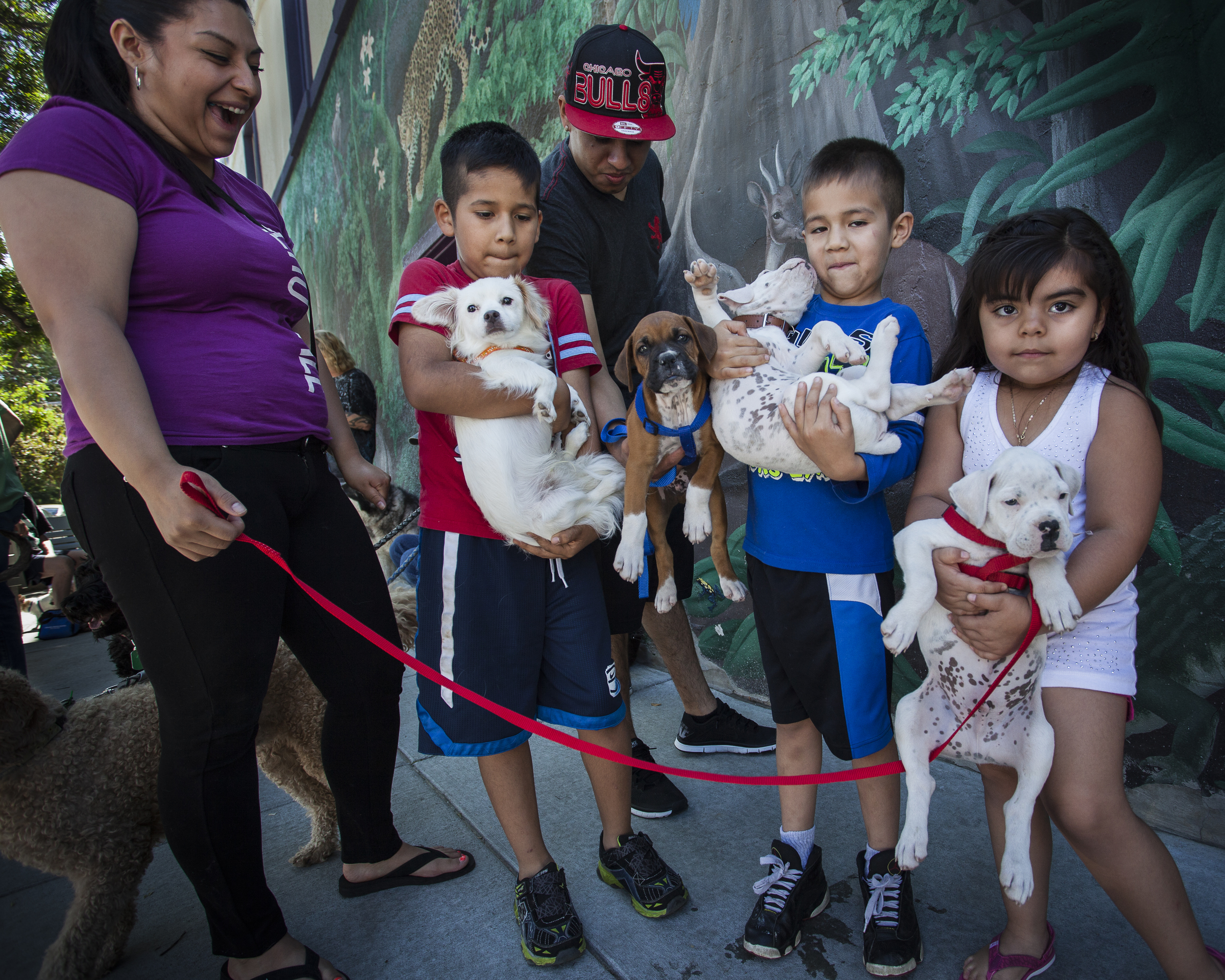 bulldog family 8x10-1.jpg