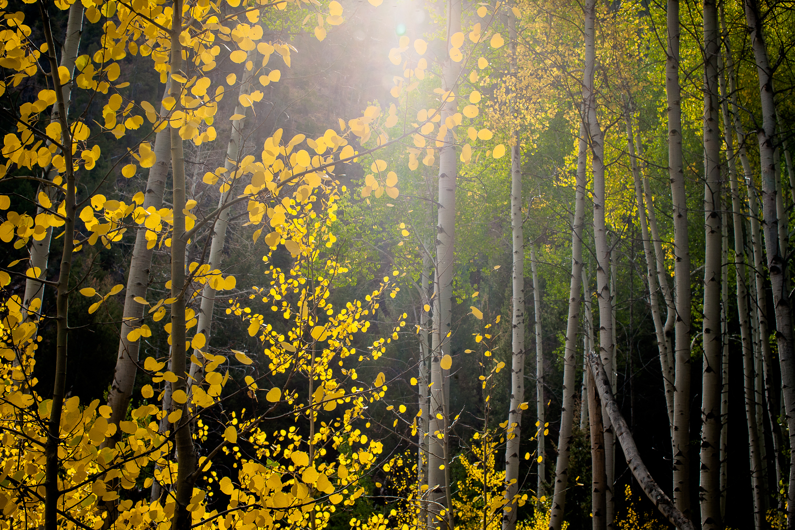 Ketchum, Idaho