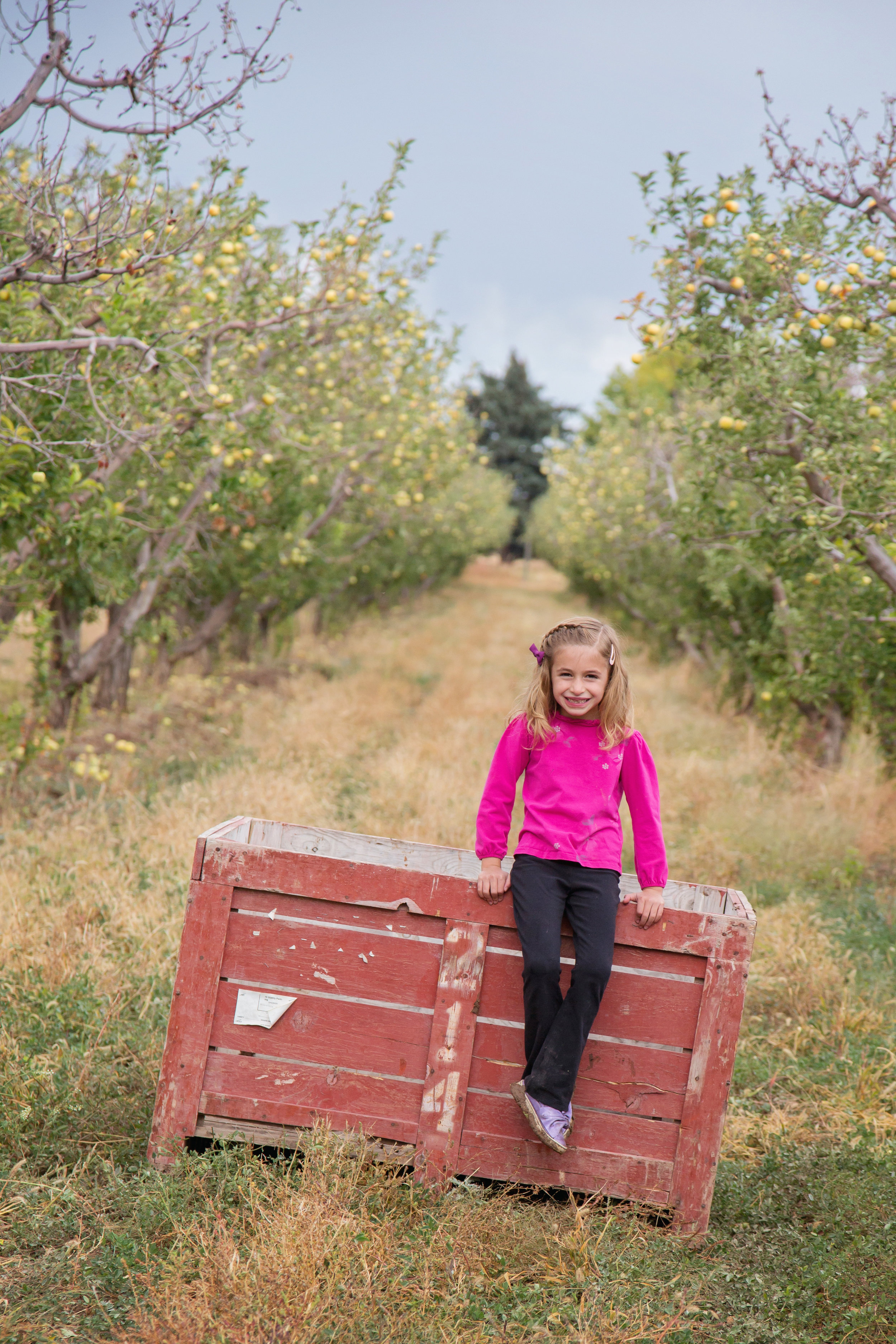 Montrose Colorado Photographer