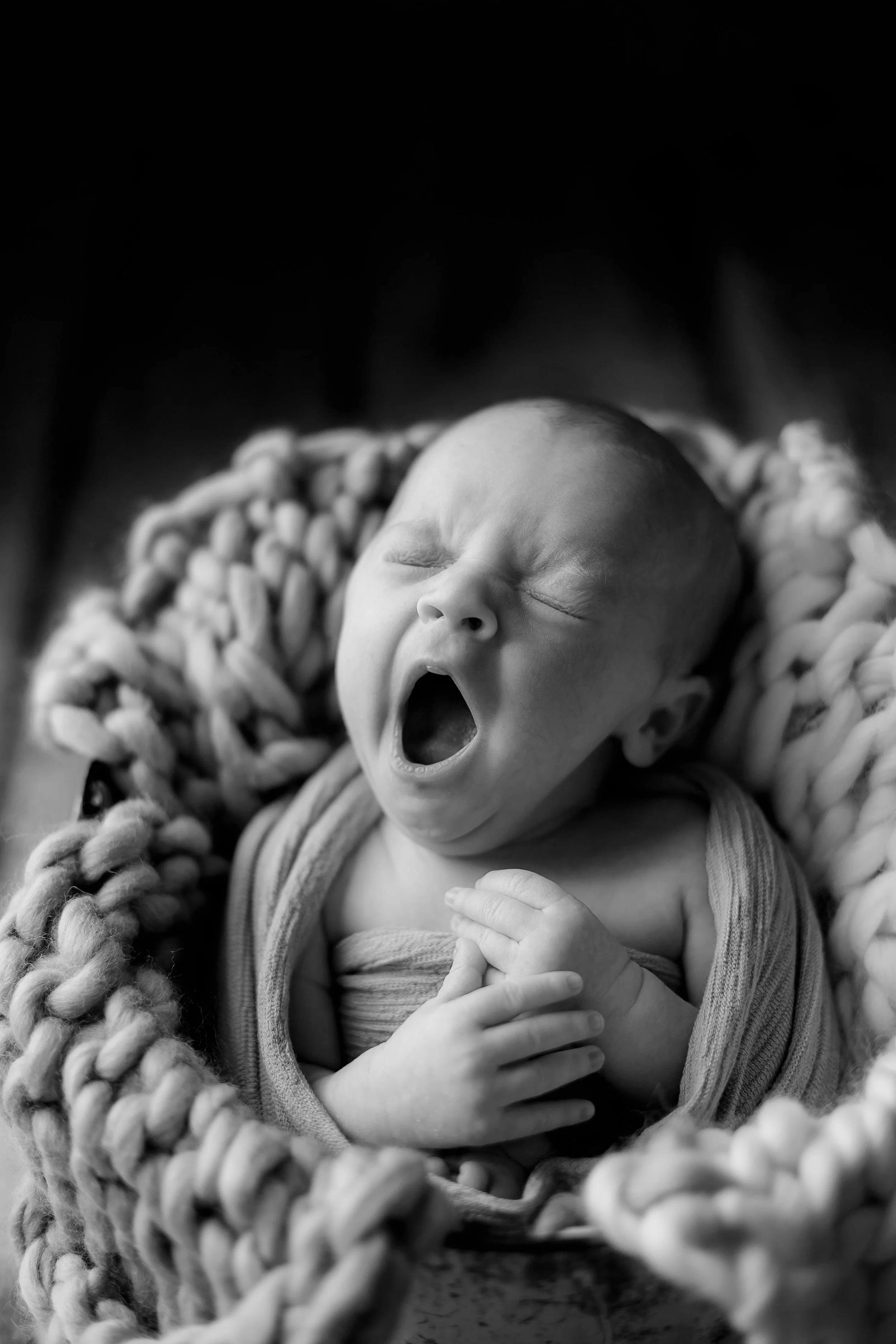 Montrose newborn photographer
