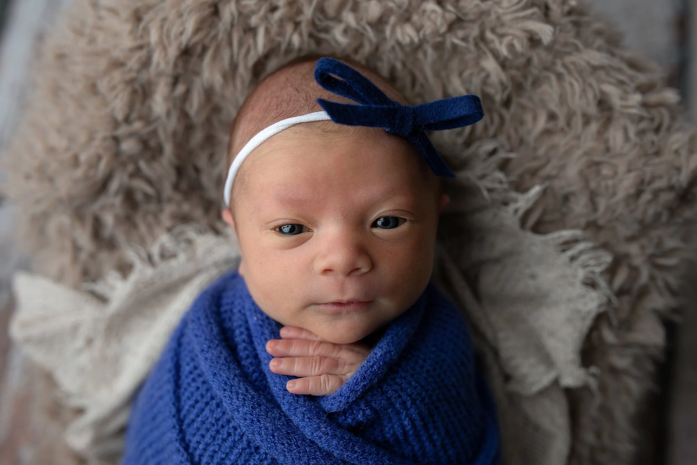 Montrose + Newborn + Photographer