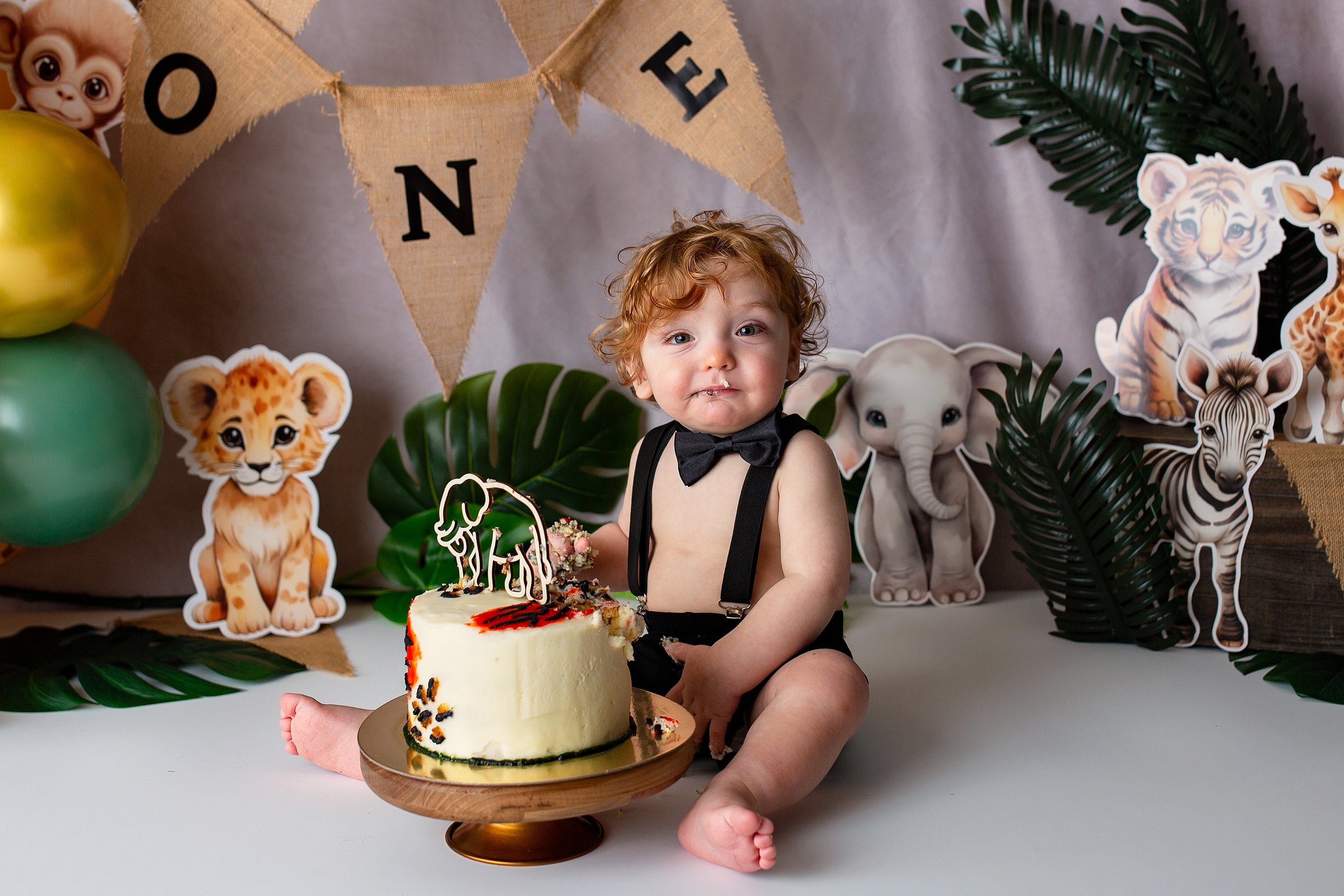 Cake smash + Milestone + Montrose + Colorado + Photographer