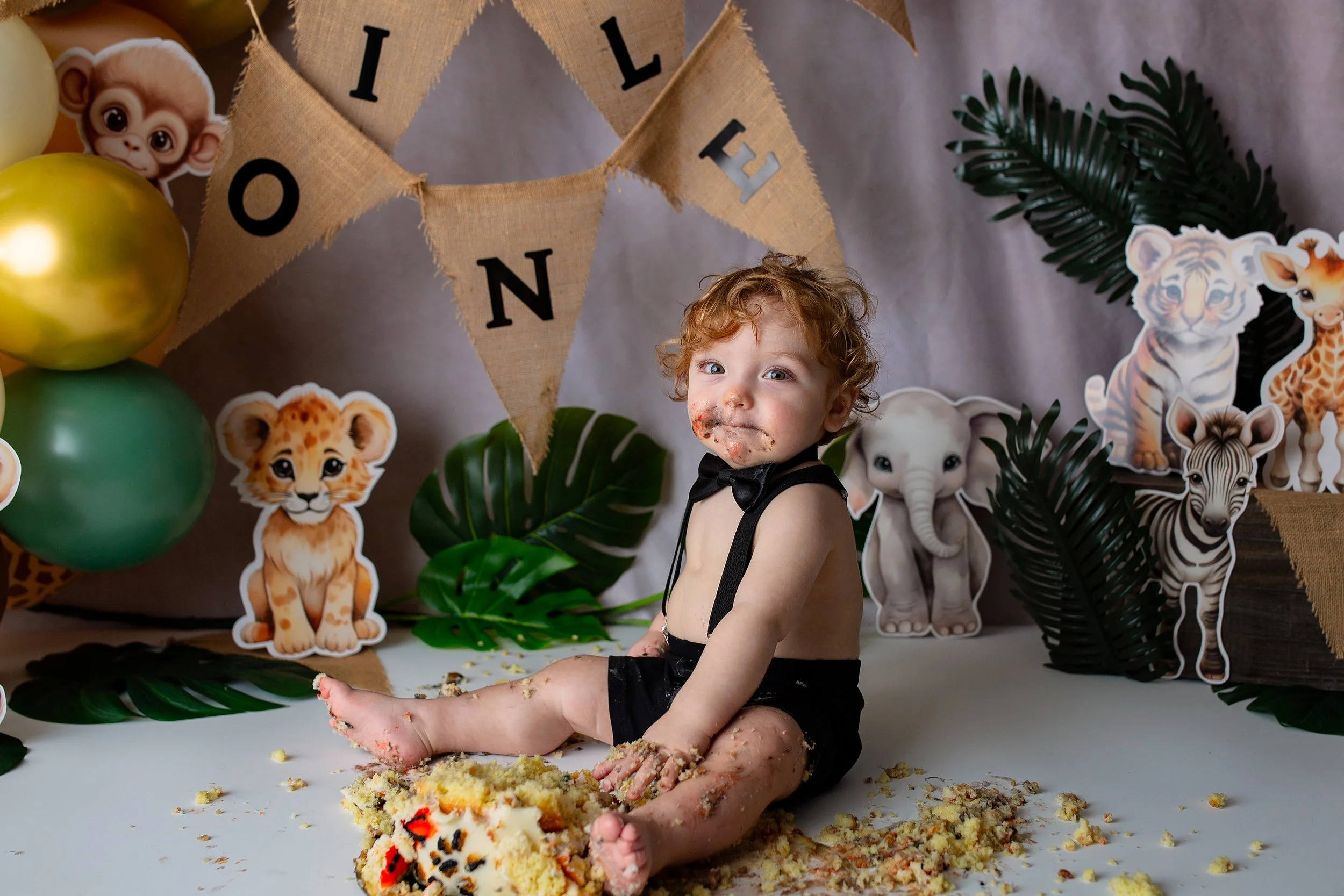Cake smash + Milestone + Montrose + Colorado + Photographer
