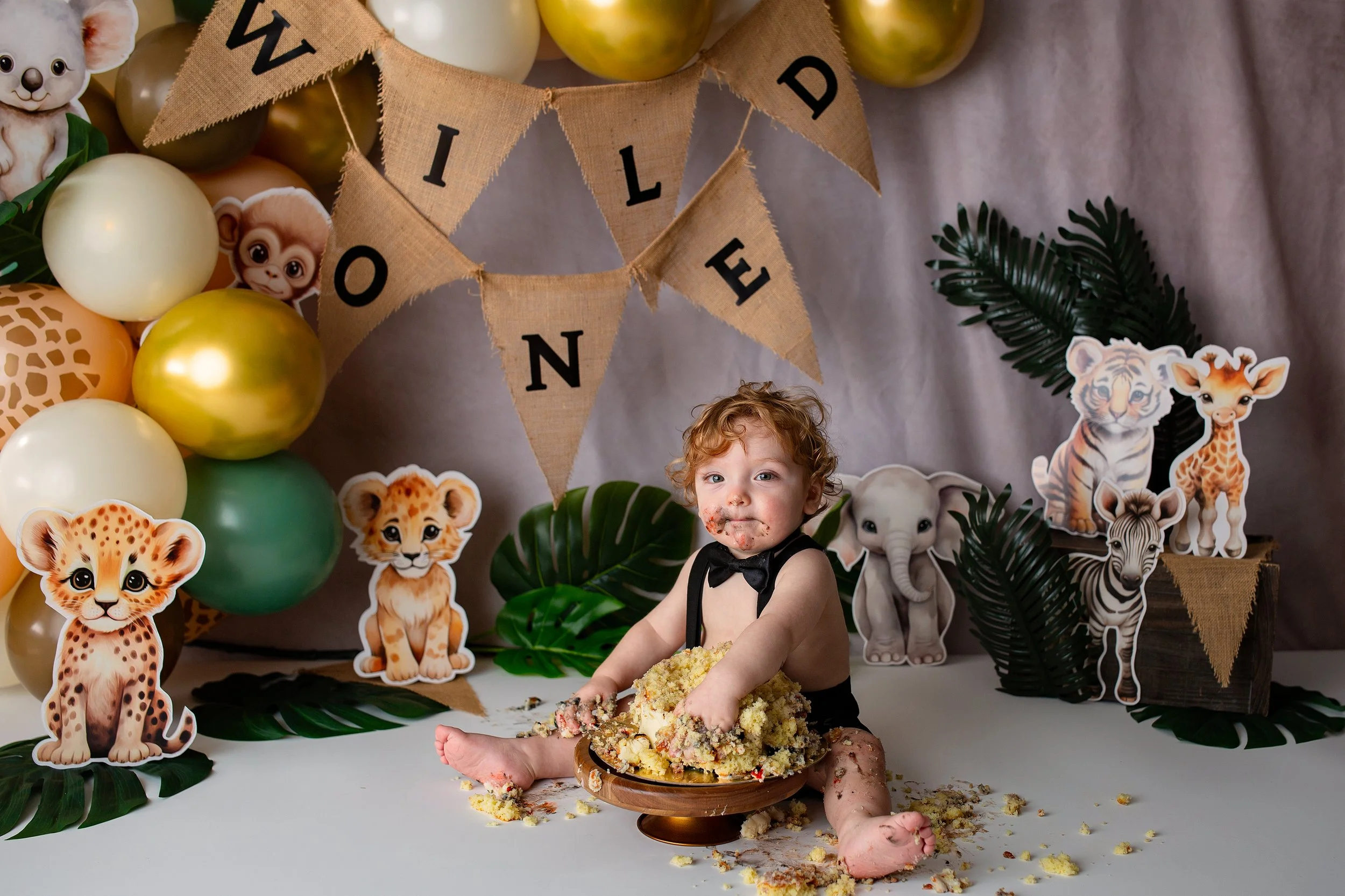 Cake smash + Milestone + Montrose + Colorado + Photographer