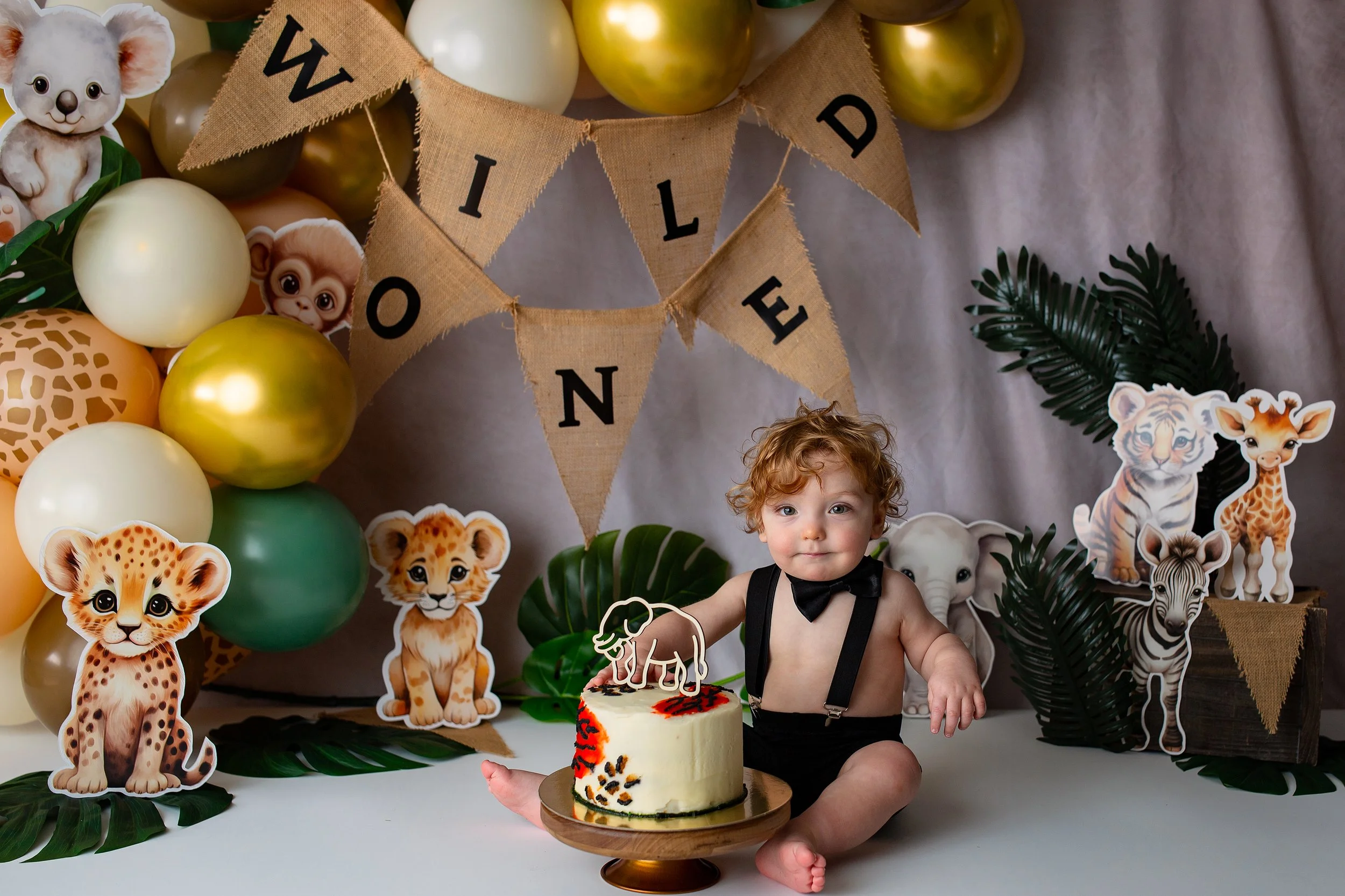 Cake smash + Milestone + Montrose + Colorado + Photographer