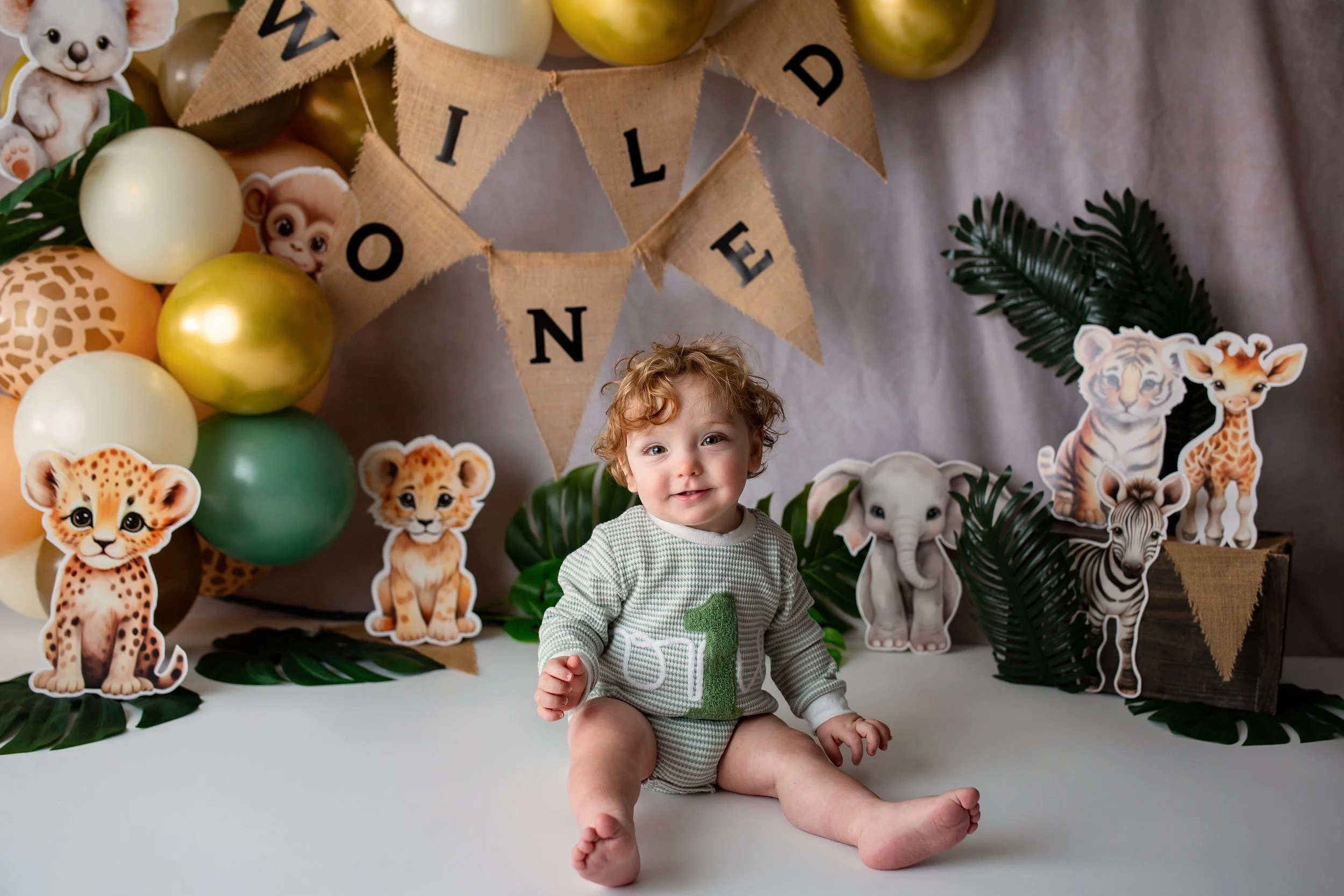 Cake smash + Milestone + Montrose + Colorado + Photographer