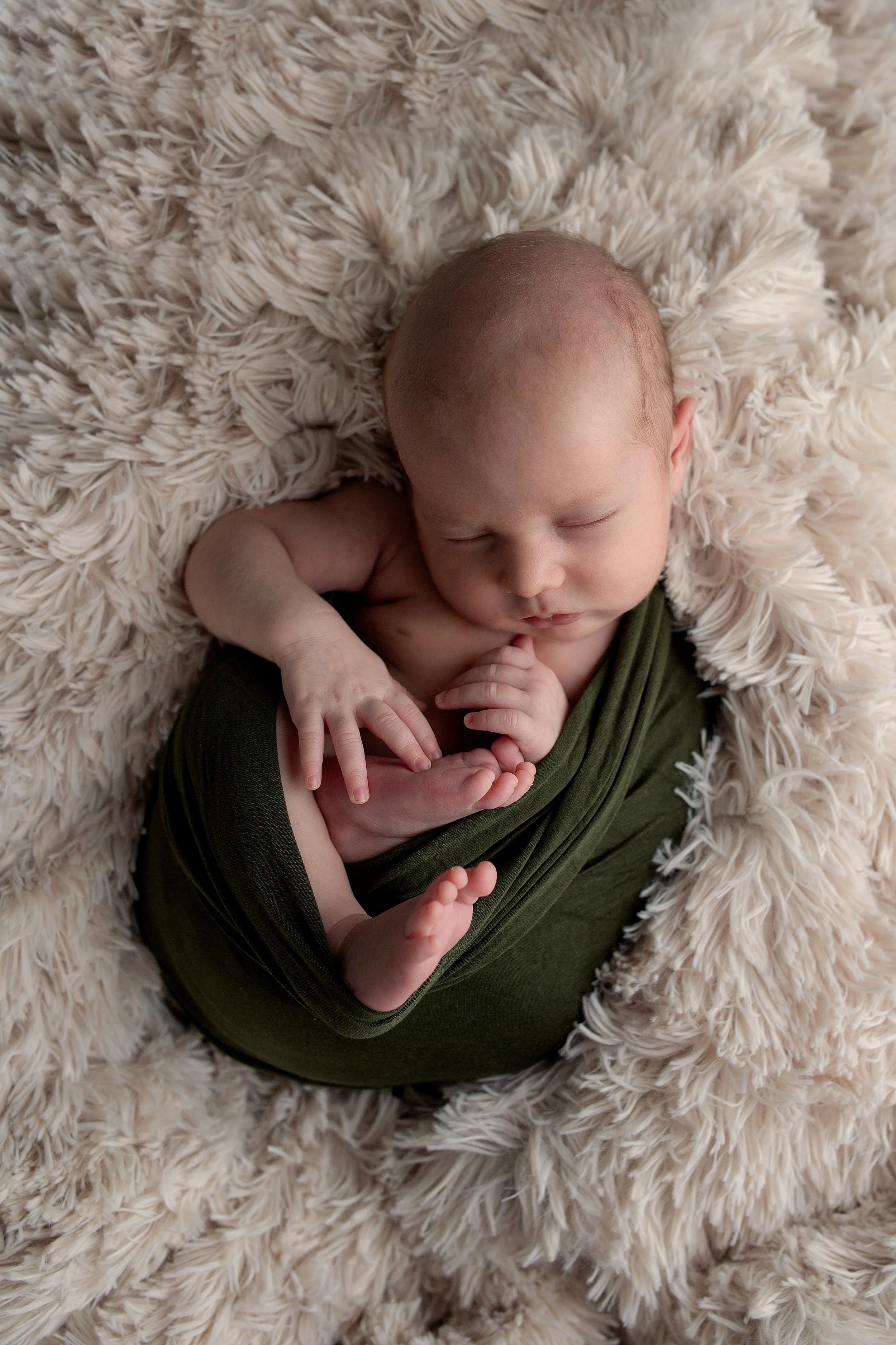 Newborn + Photographer + Montrose + Colorado