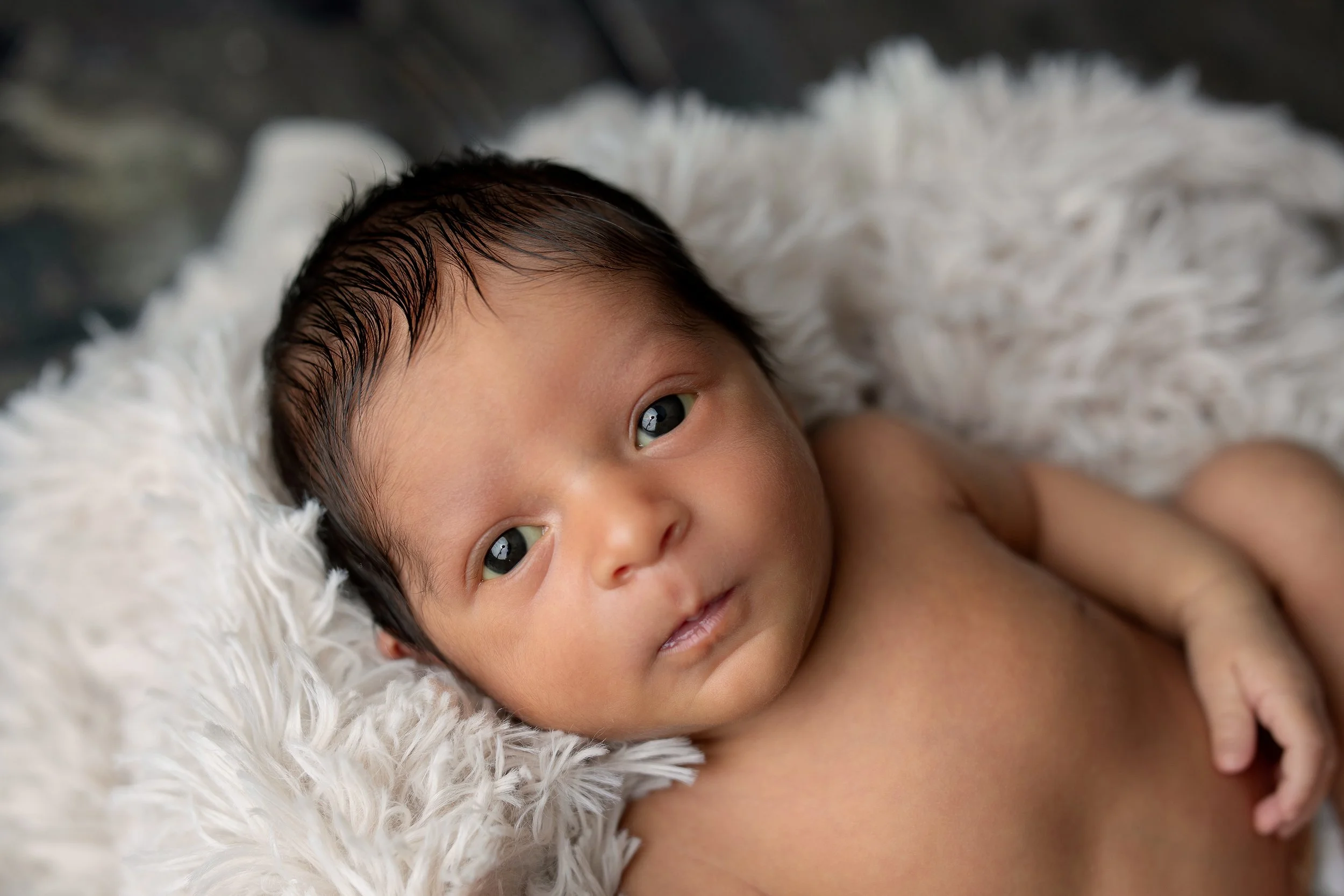 Montrose + Newborn + Photographer