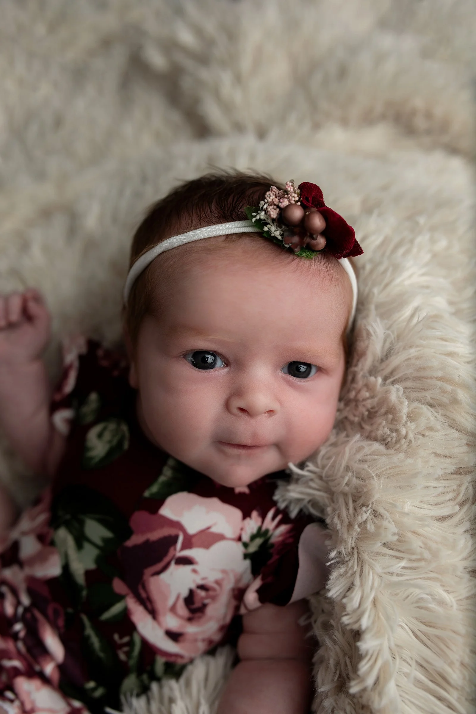 Montrose + Newborn + Photographer