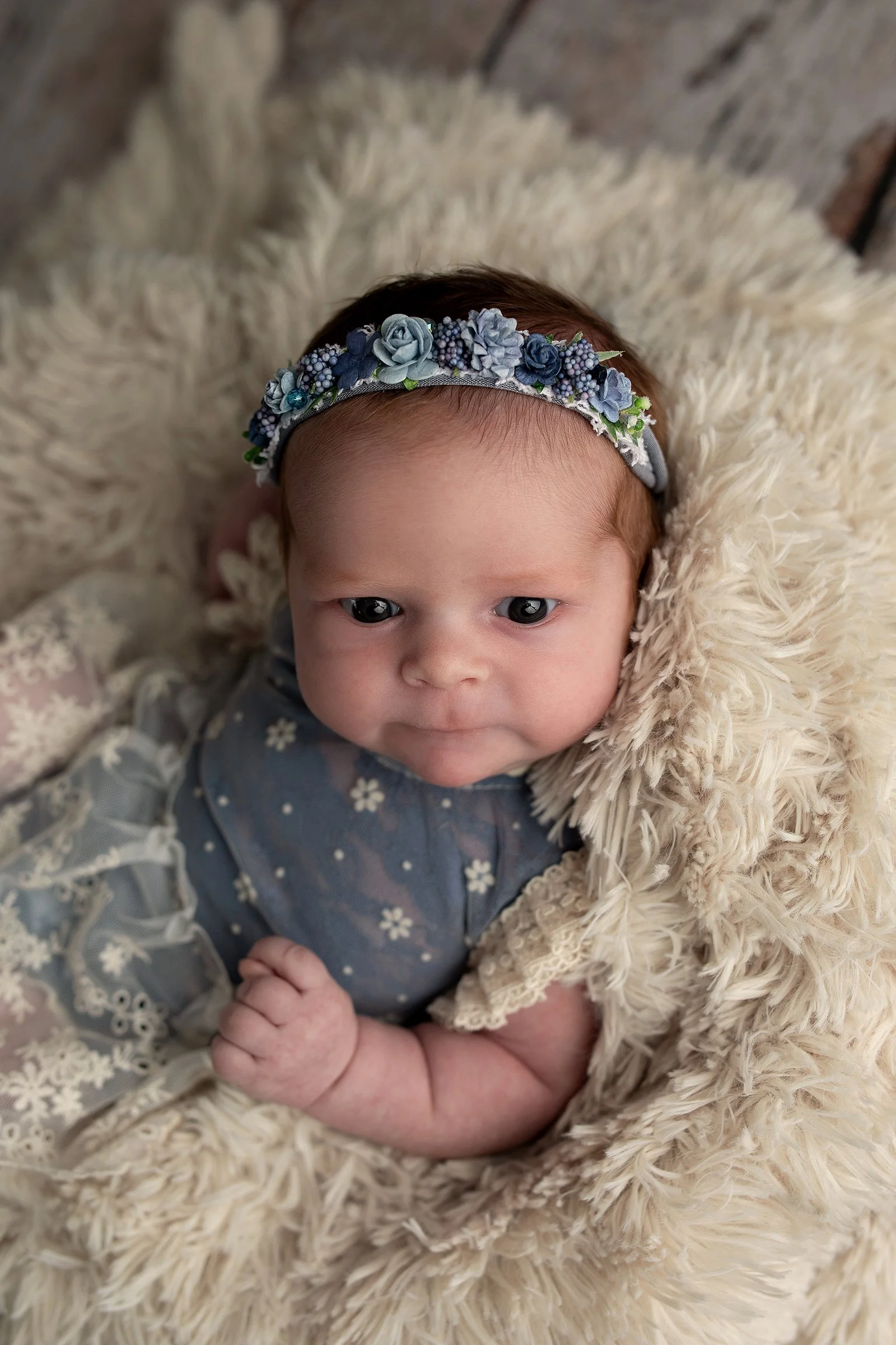 Montrose + Newborn + Photographer